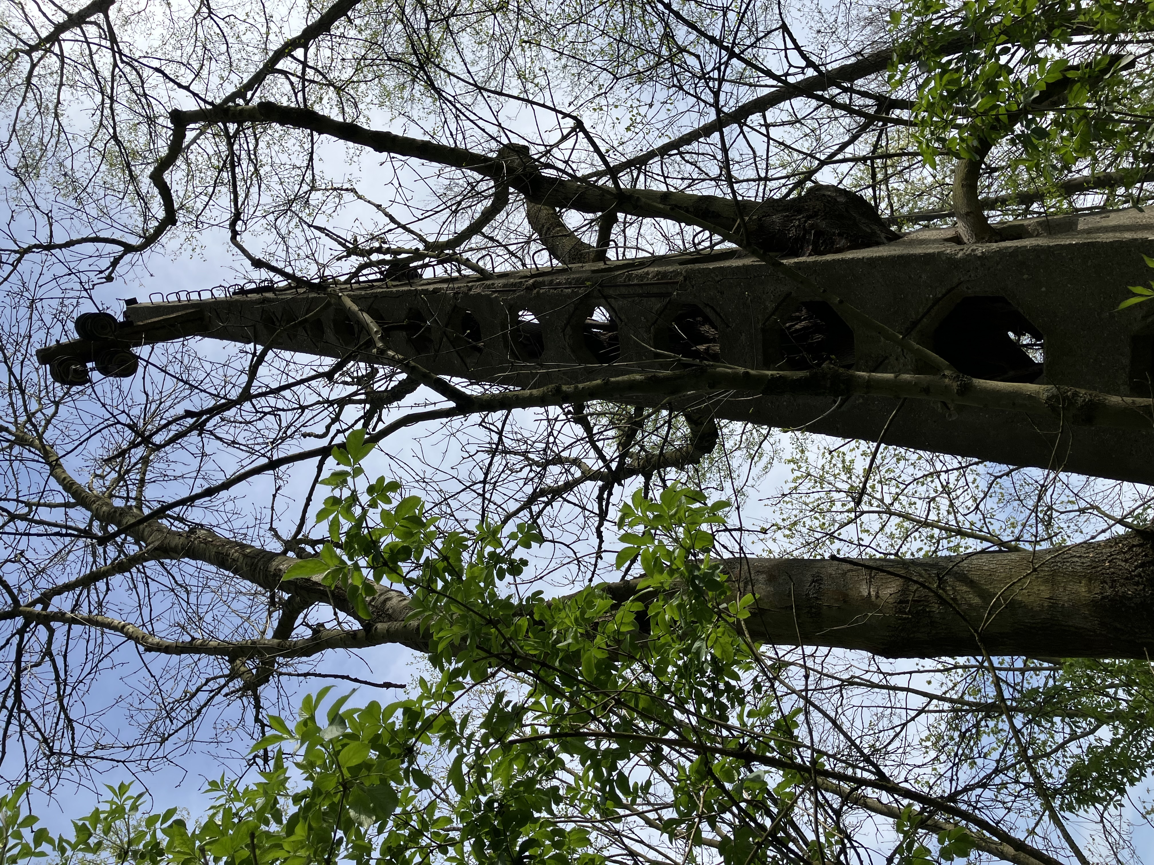 Symbol severních Čech