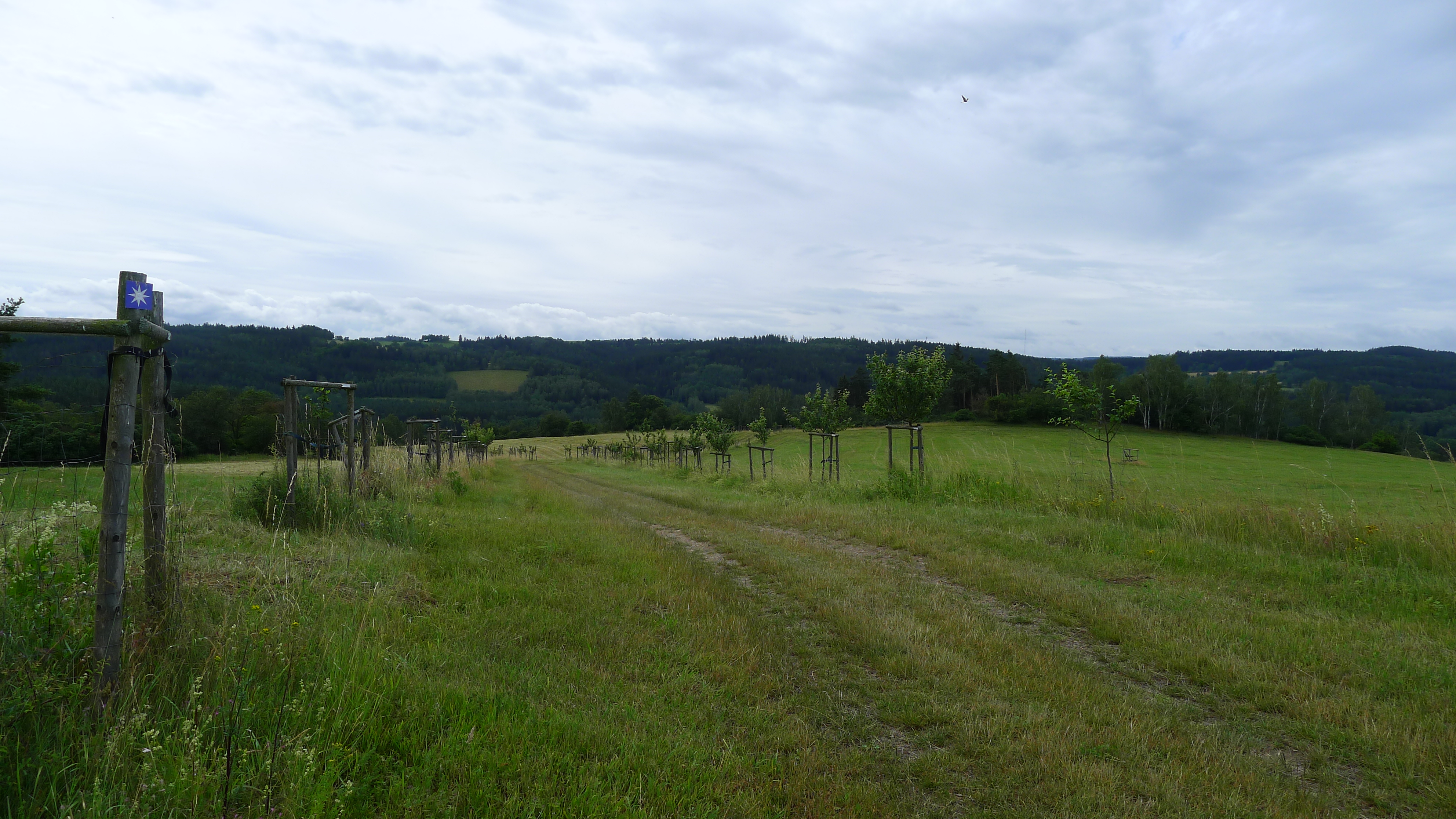 ovocná alej u Skoků