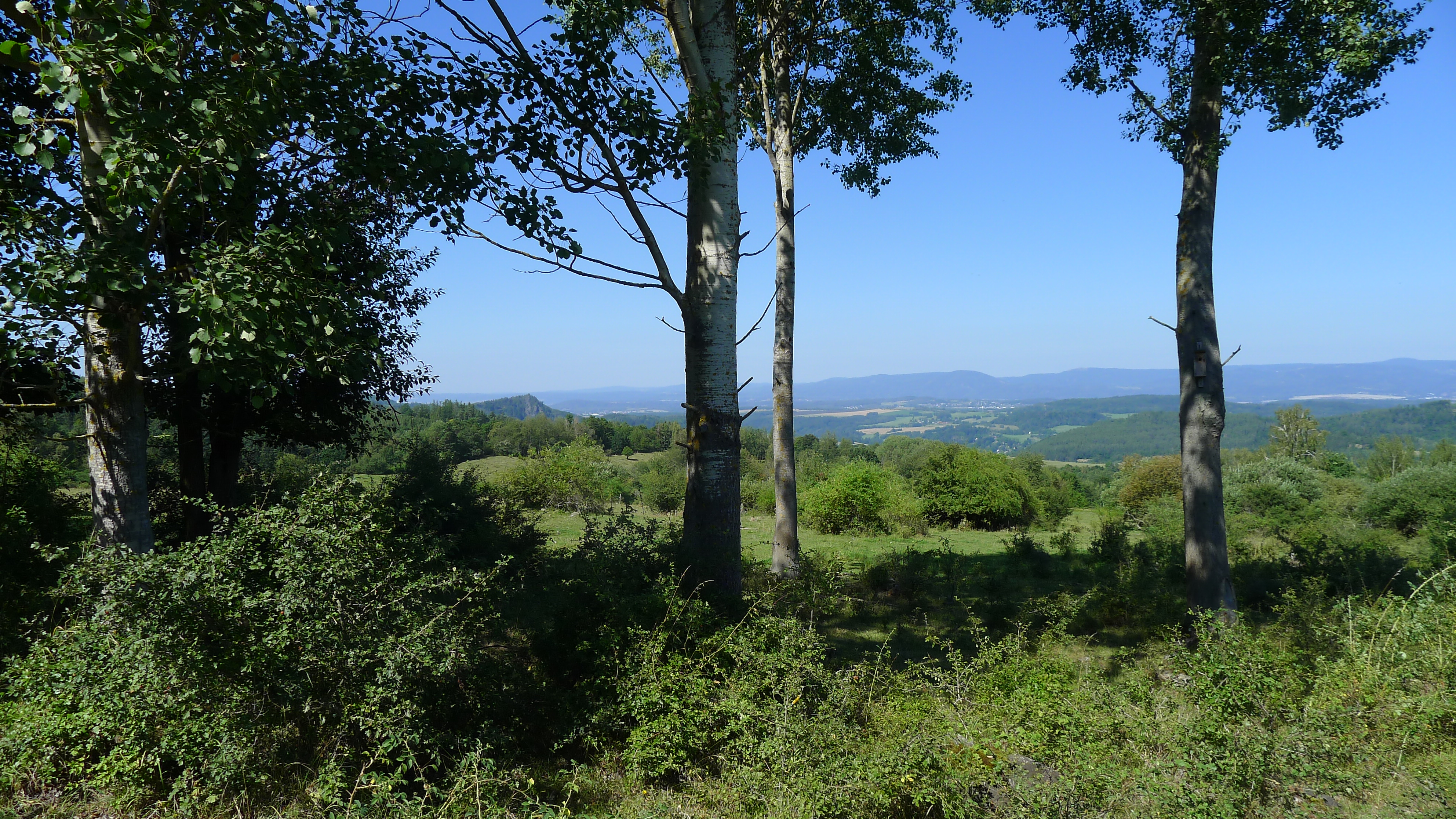 rozhled na Krušné hory z cesty do Lučin