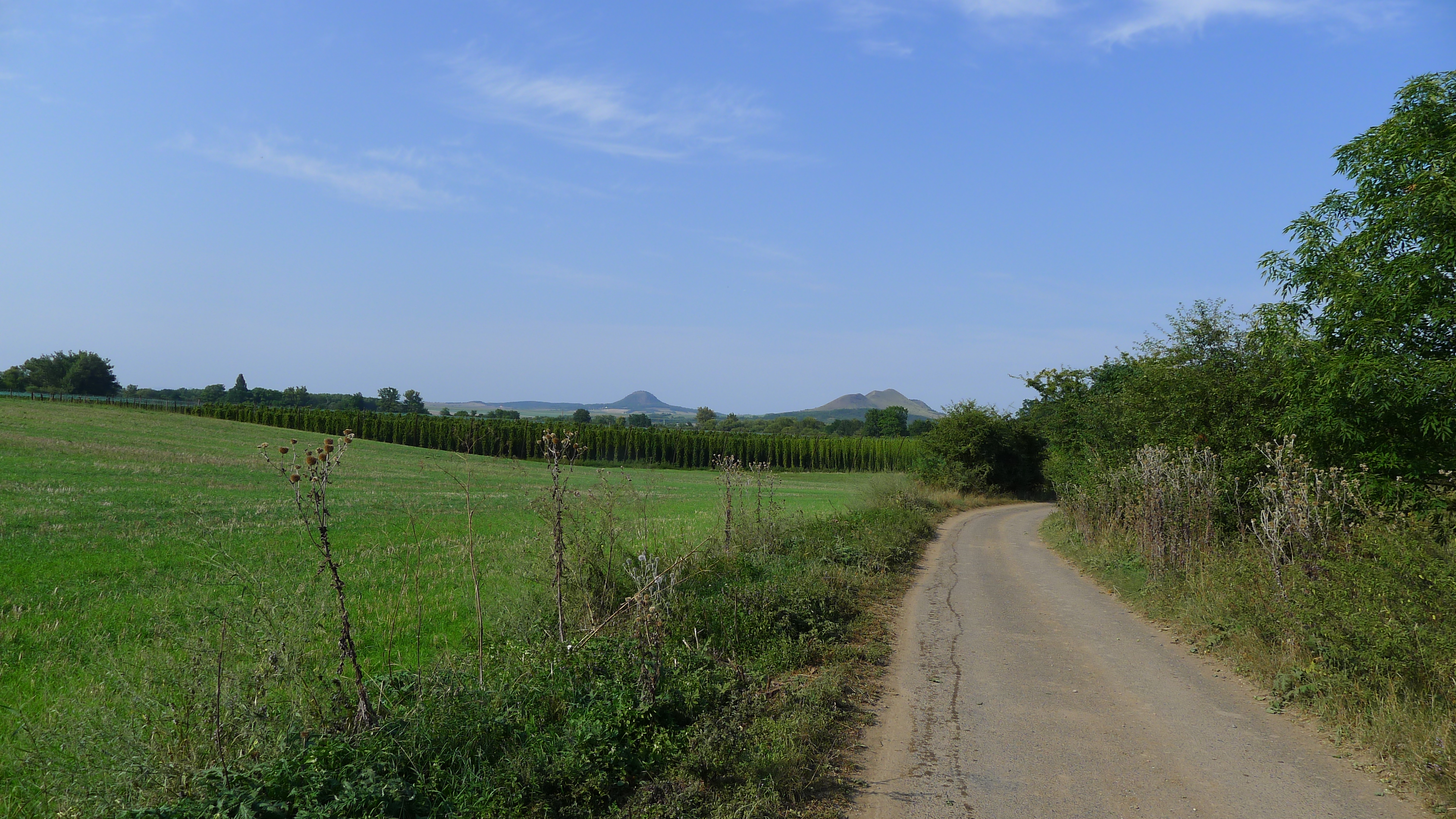 za chmelnicí v dáli kopce Milá a Raná