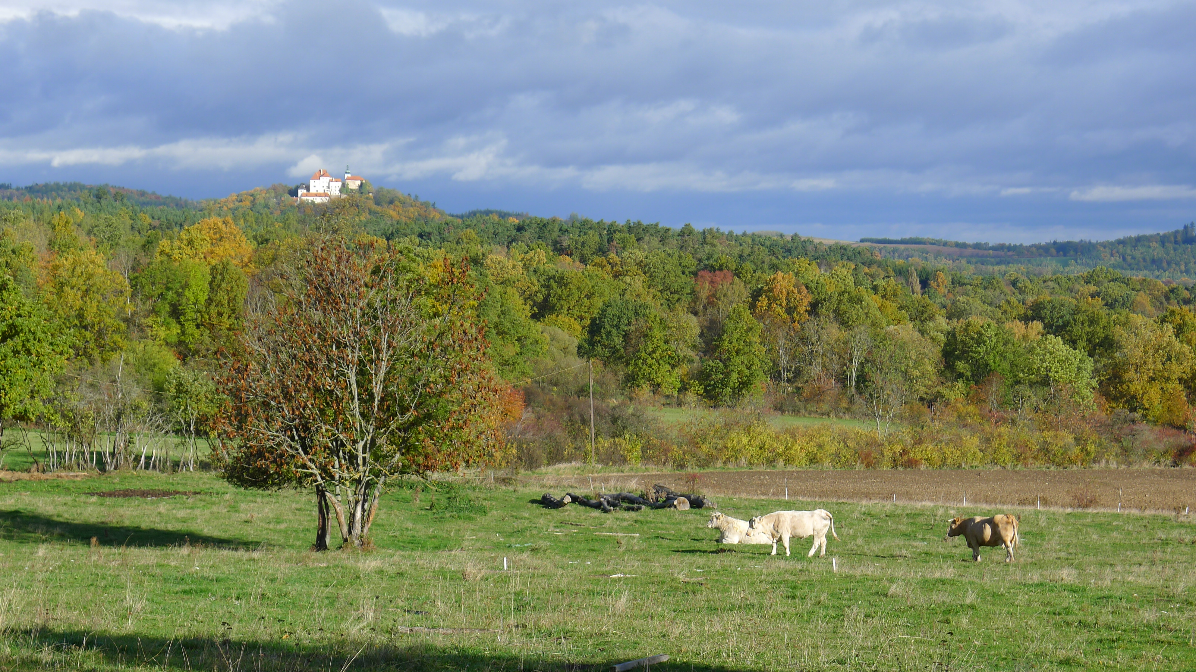 hrad Vysoký Chlumec od Skuhrova