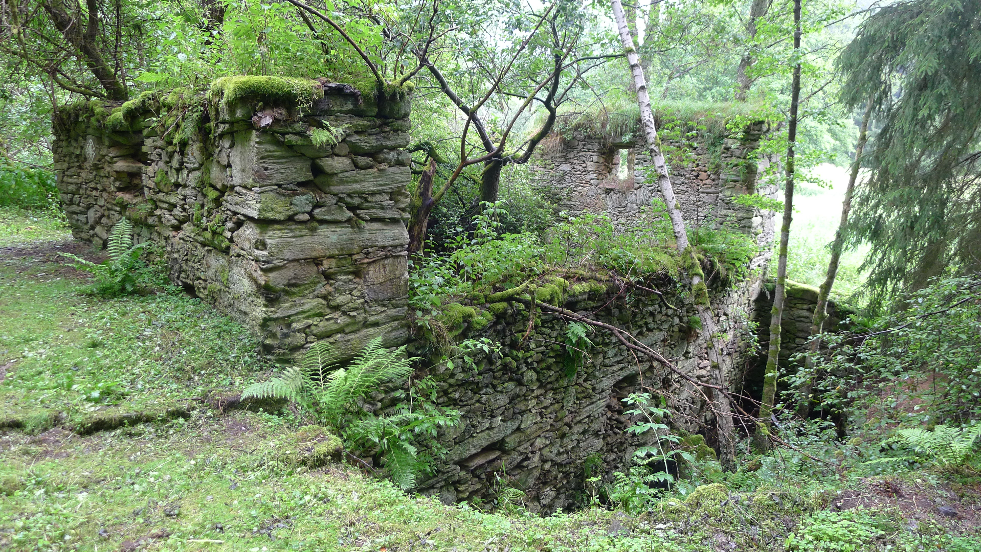 zřícenina Doubského mlýna