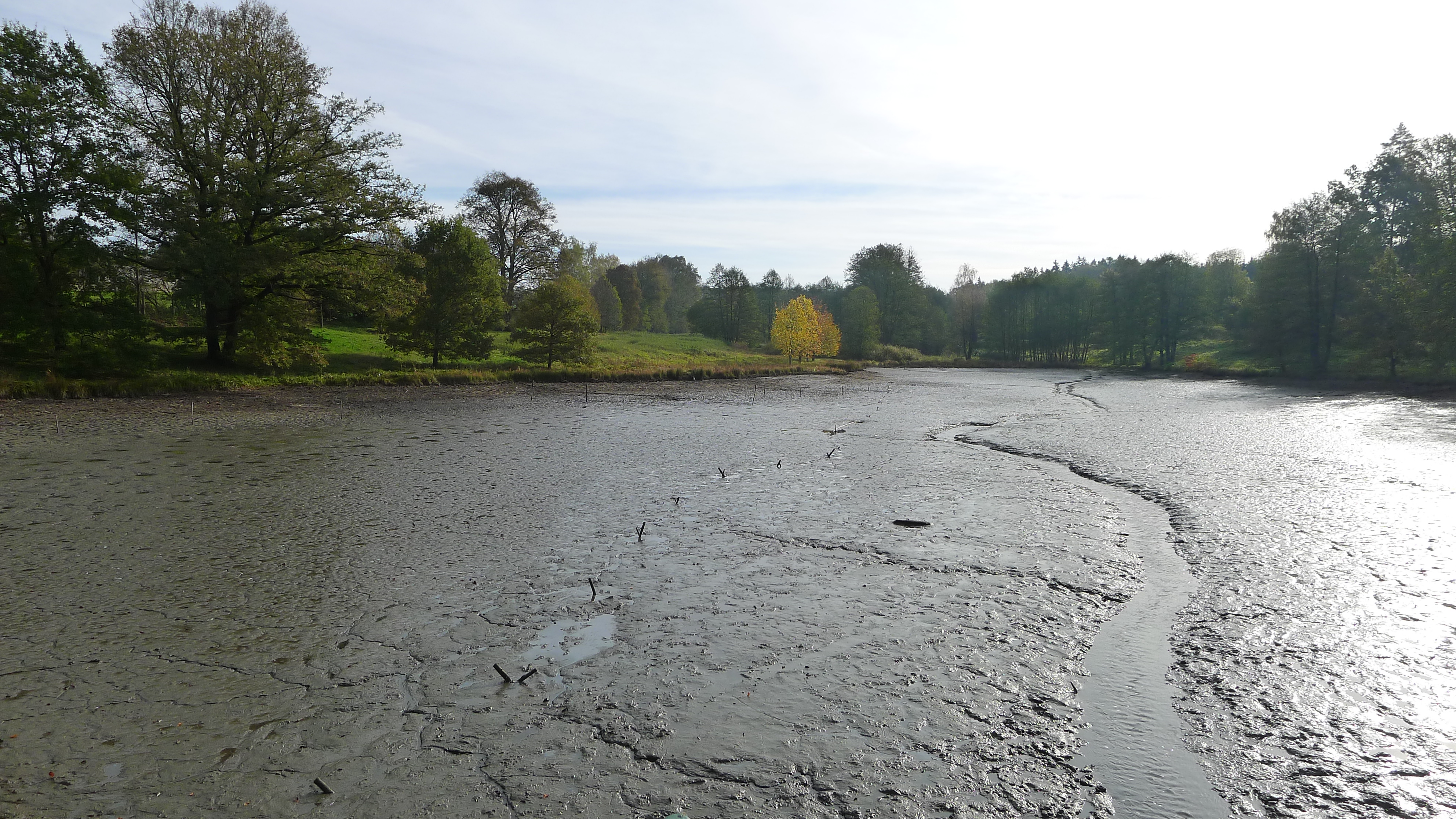 vypuštěný Jírovec