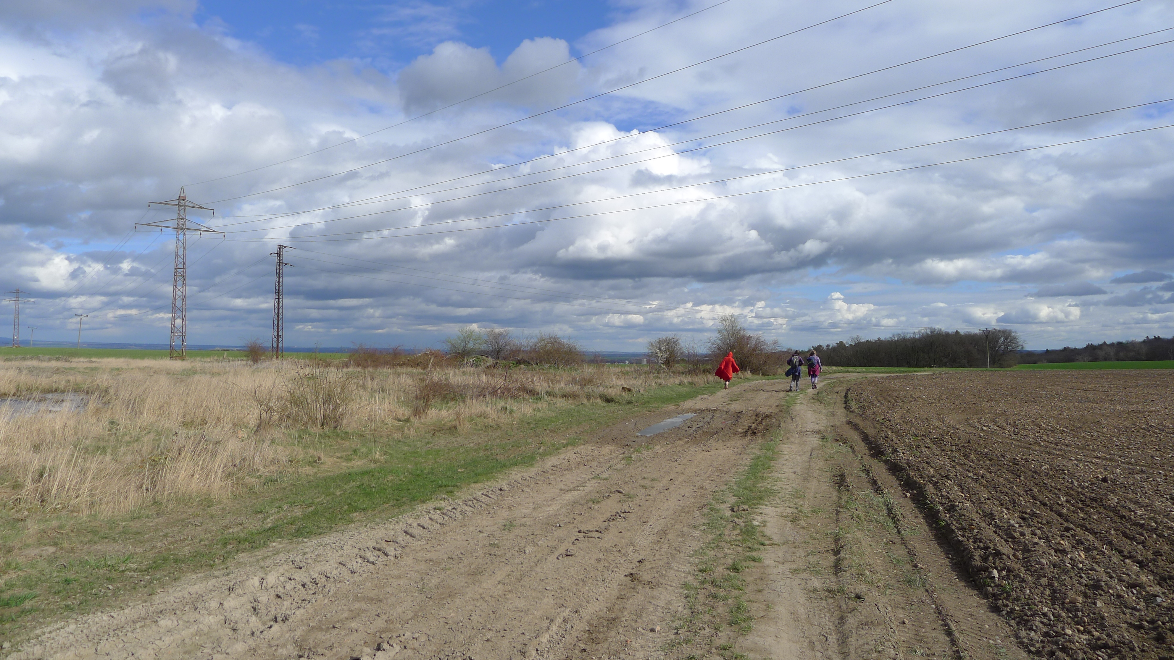 cesta od Velvarského háje