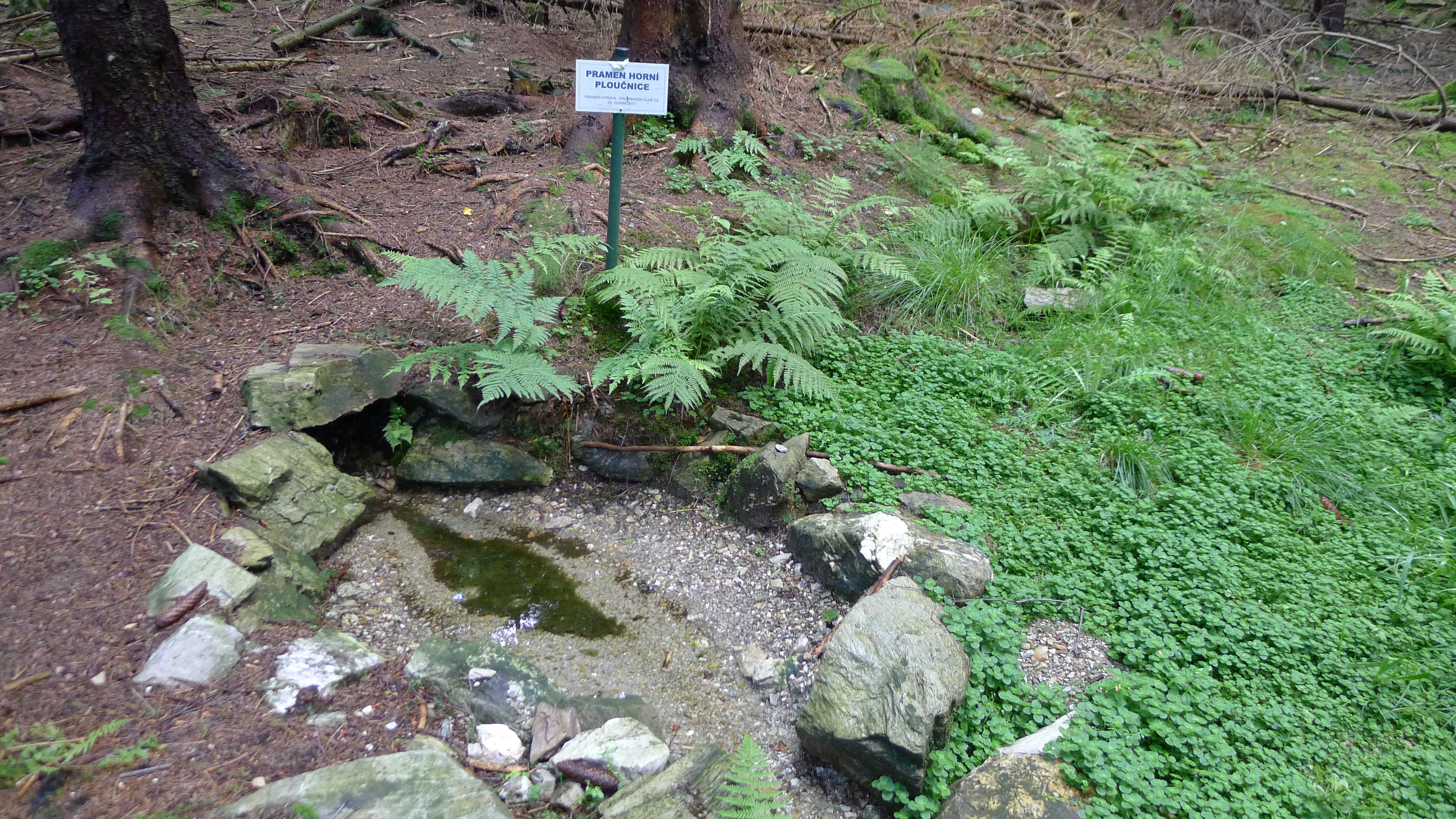 pramen Horní Ploučnice