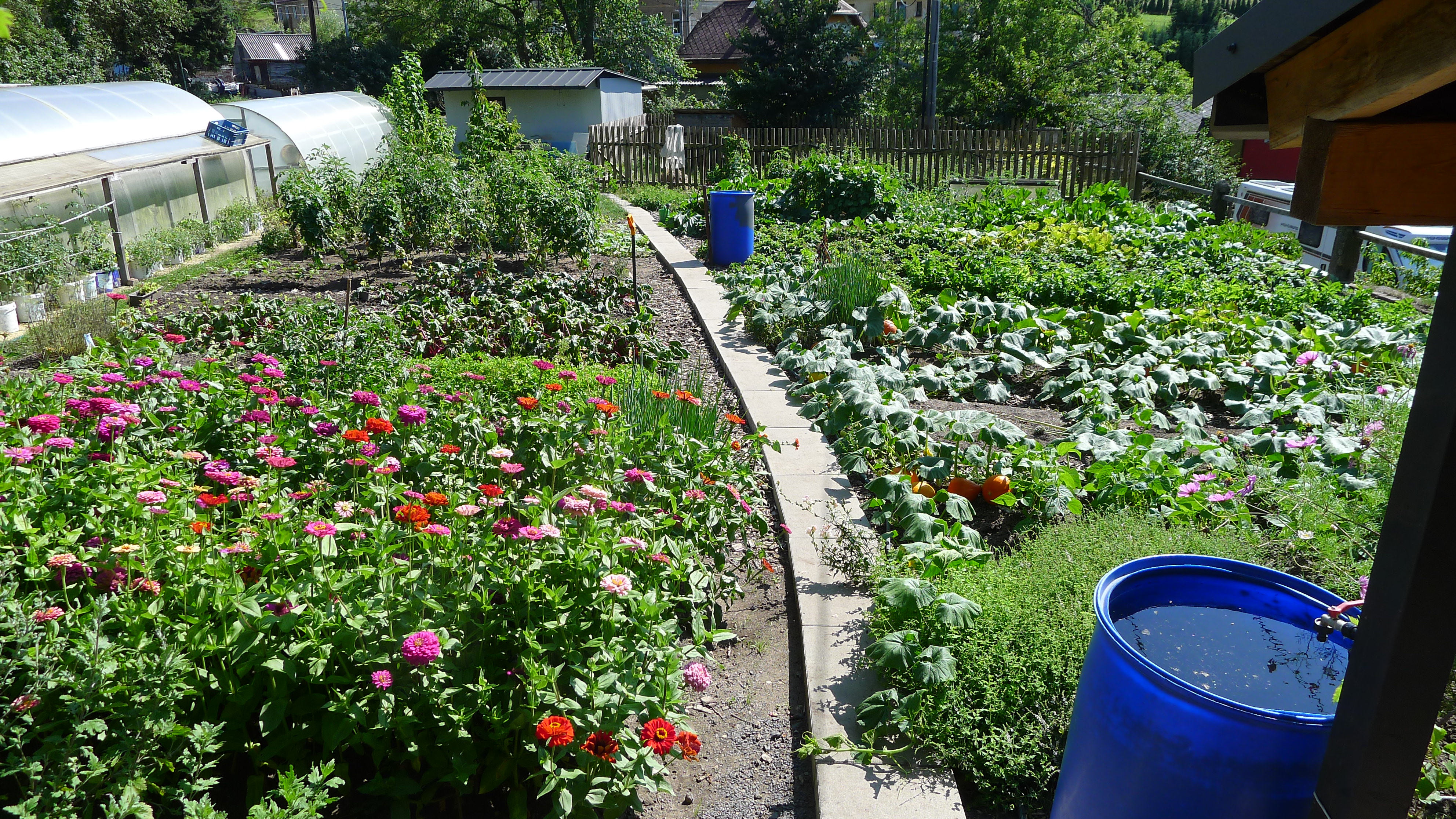 zahrádka bistra Jakubov