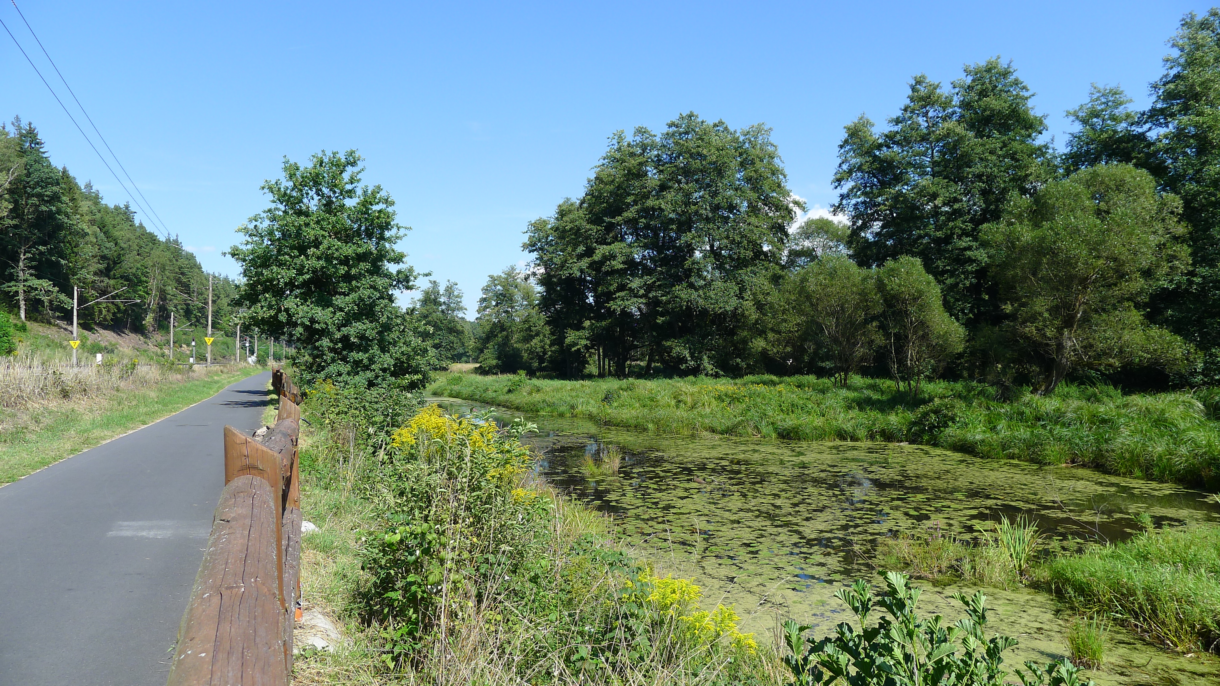 mezi Kynšperkem a Dasnicí