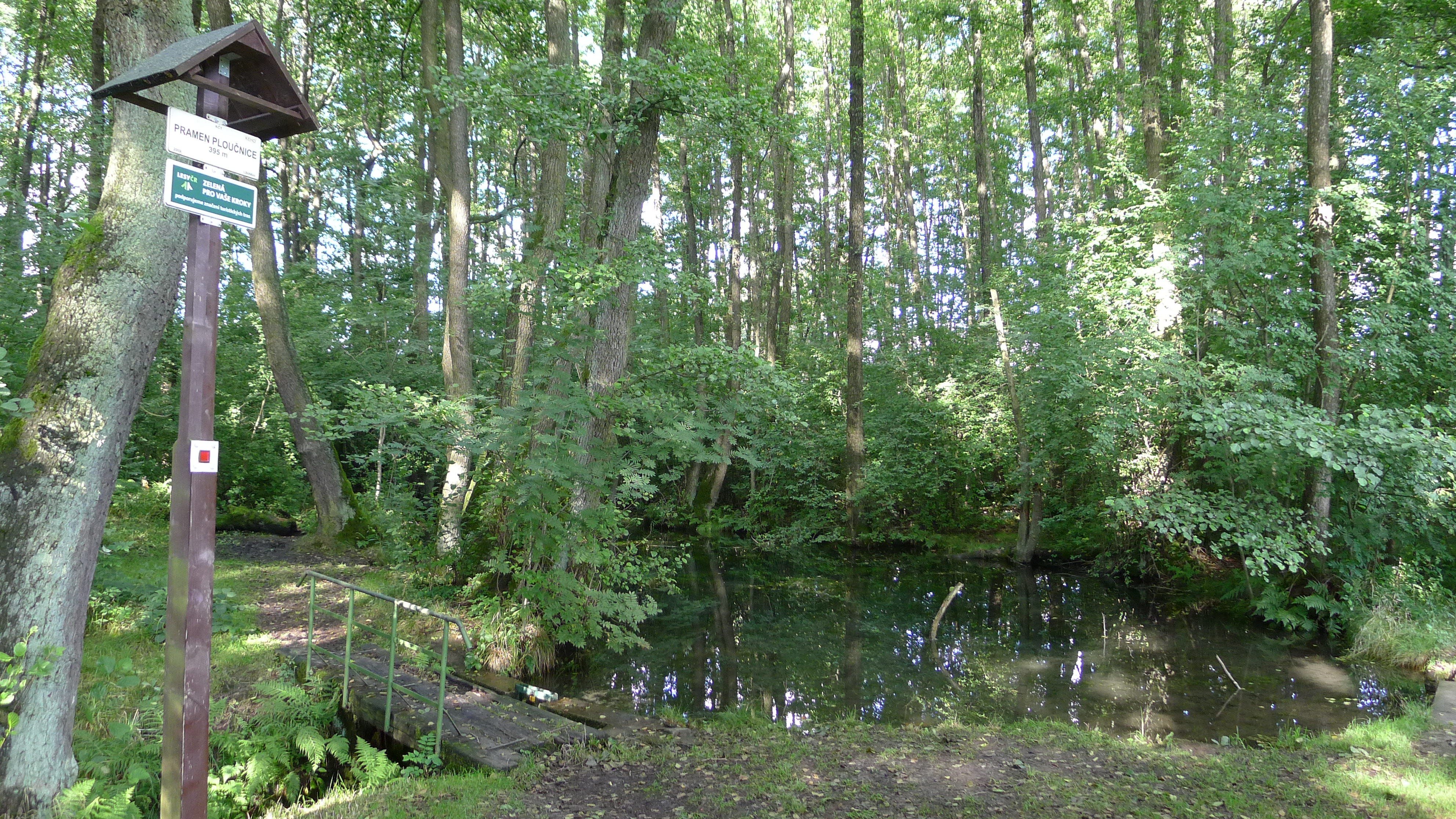 hlavní pramen Ploučnice