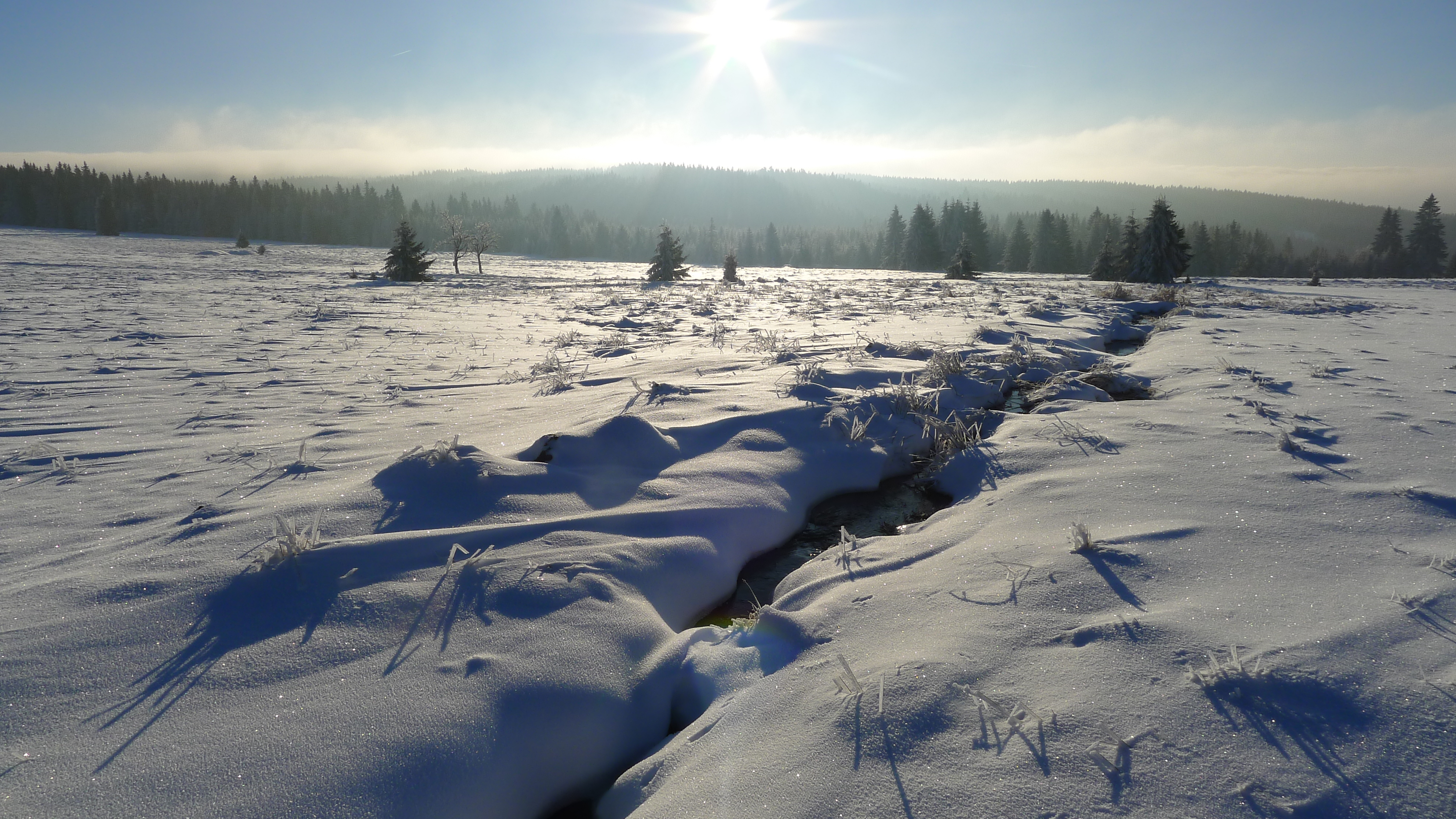 liduprázdné páteční dopoledne