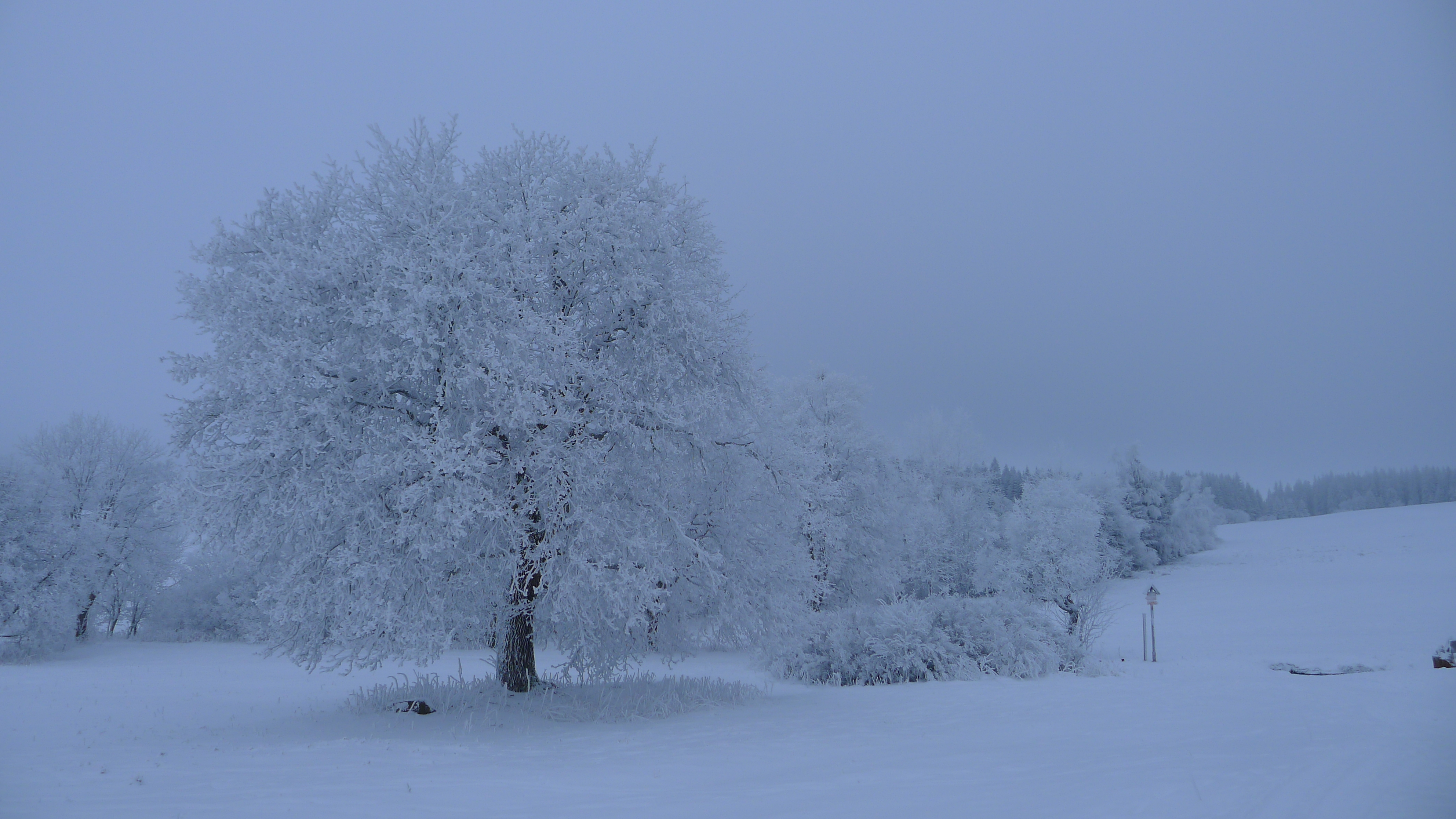 sobotní ráno u Perninského brodu