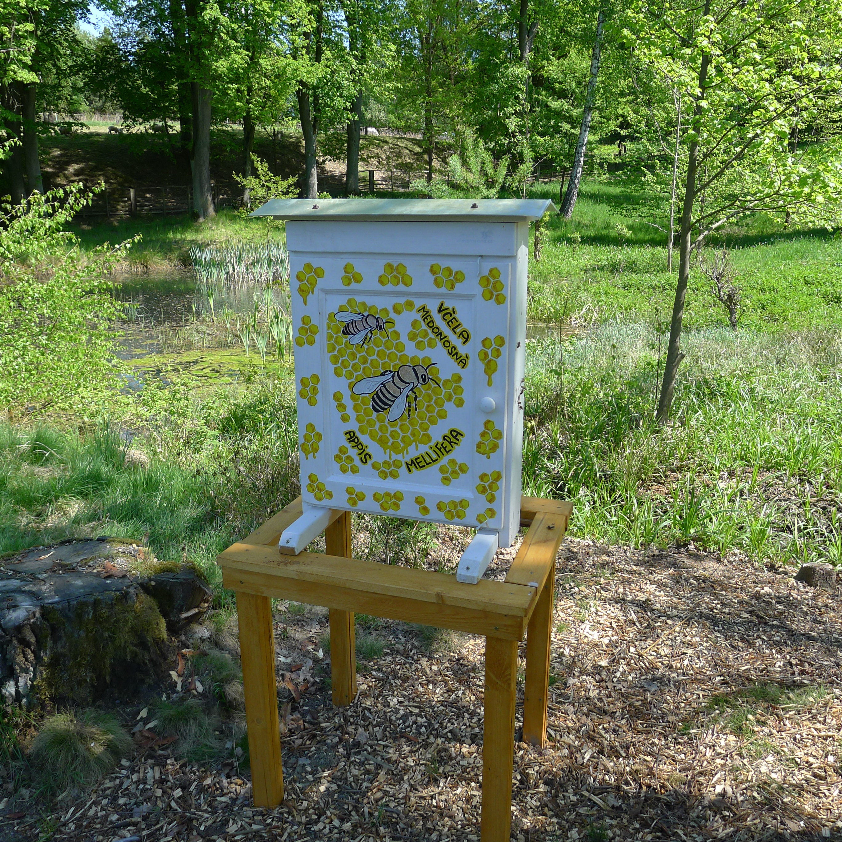 Kolová - luční porost s prameništěm