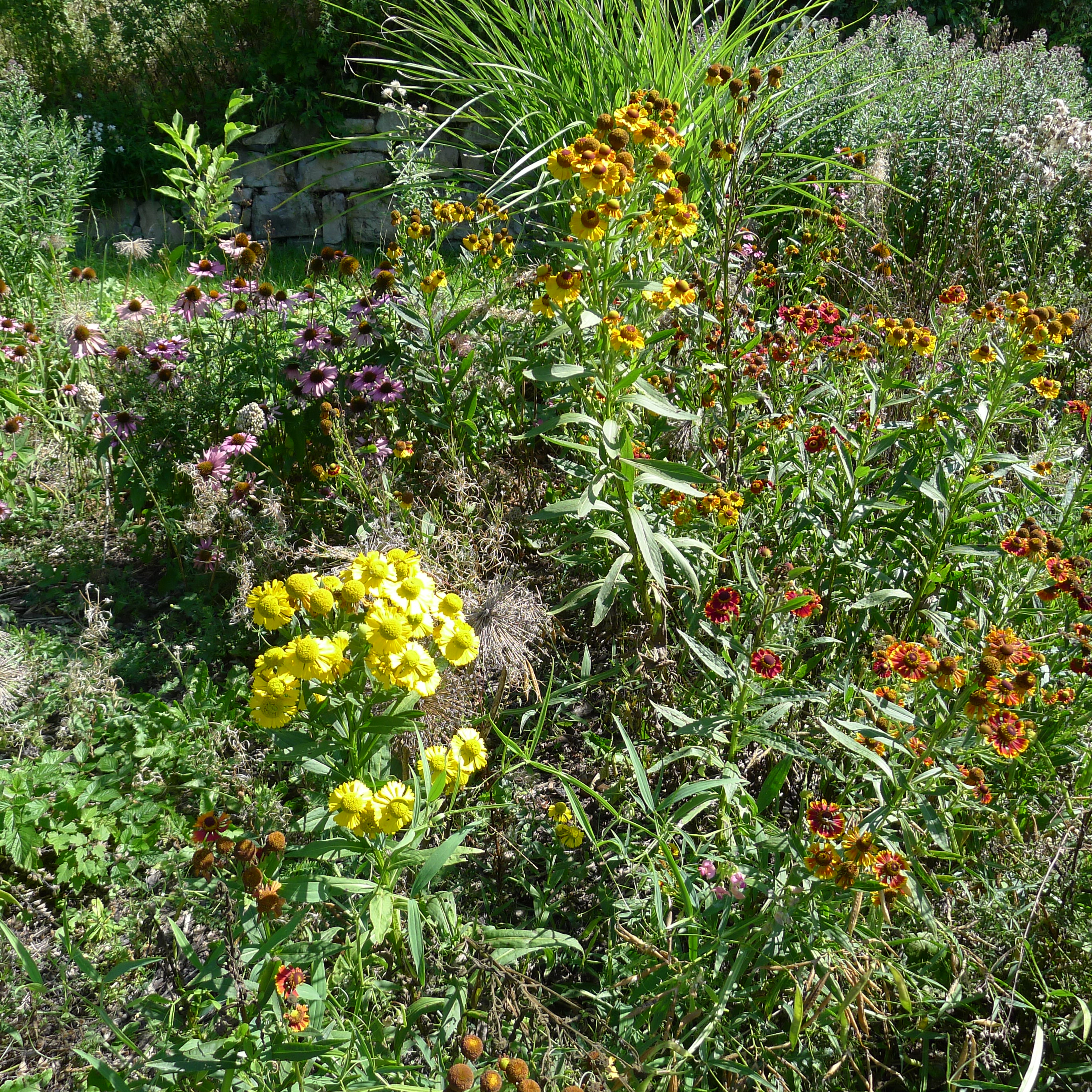 květiny u zastávky