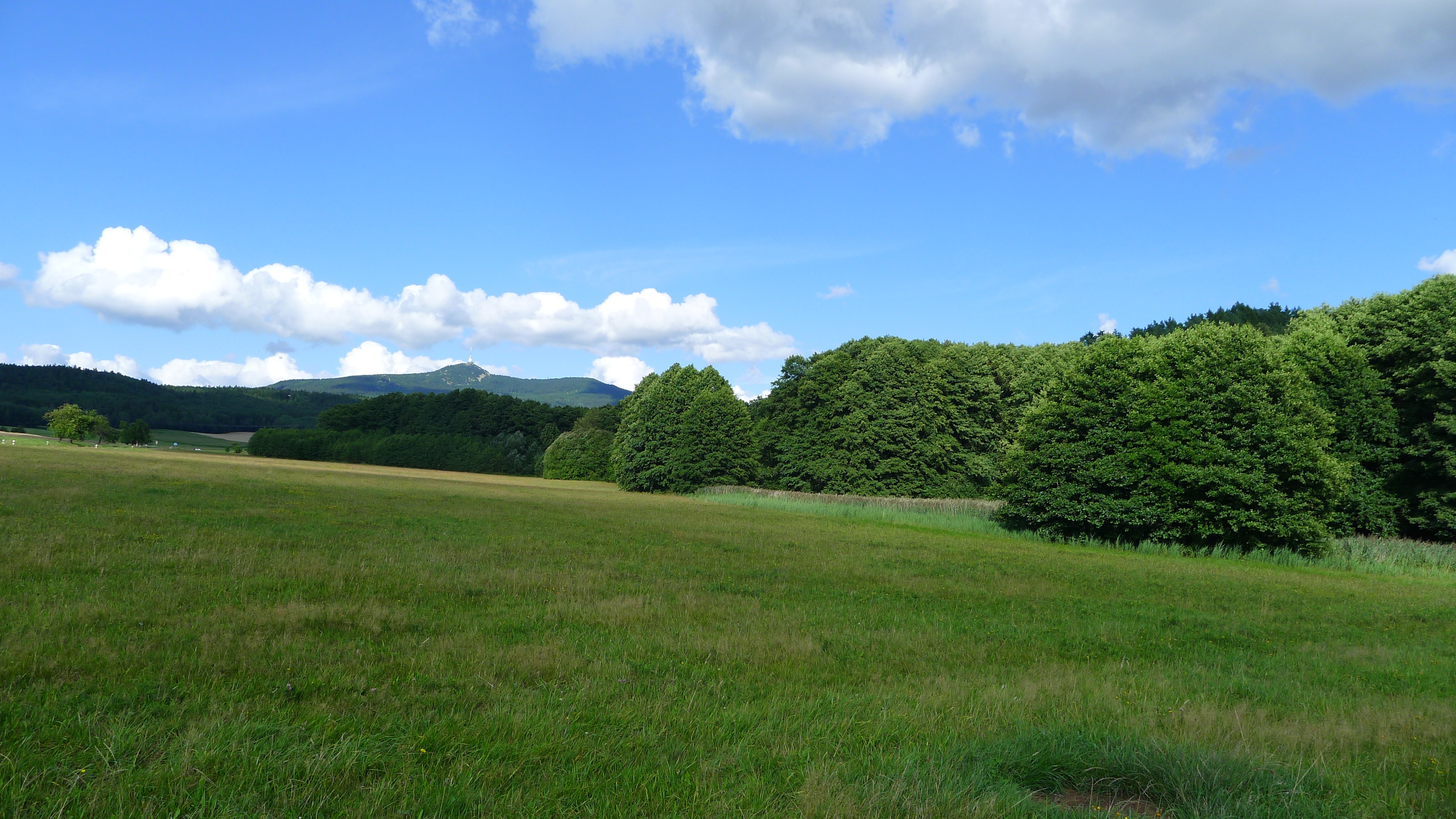 pohled na Ještěd z louky nedaleko Osečné