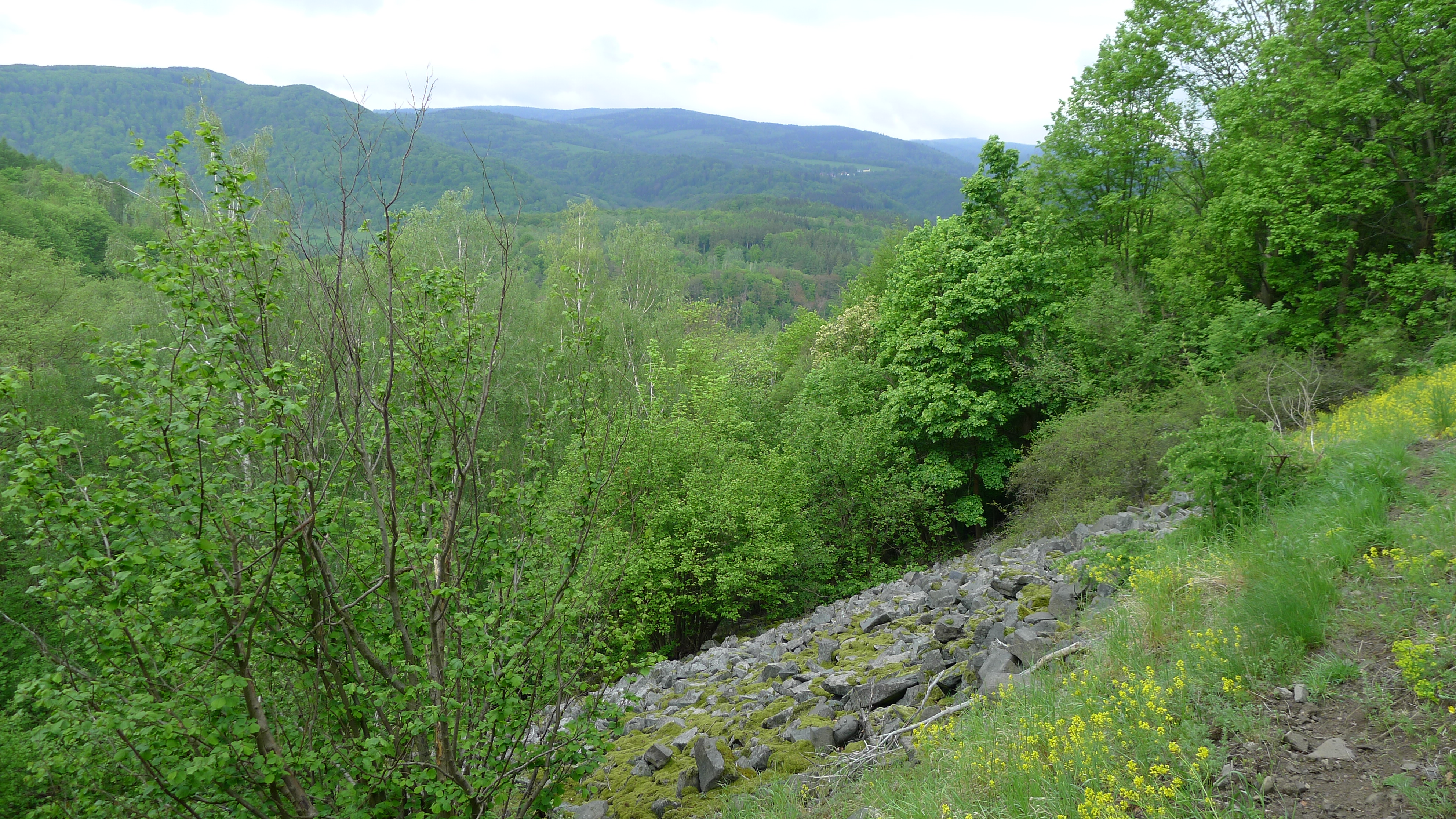 Výhled na Krušné hory