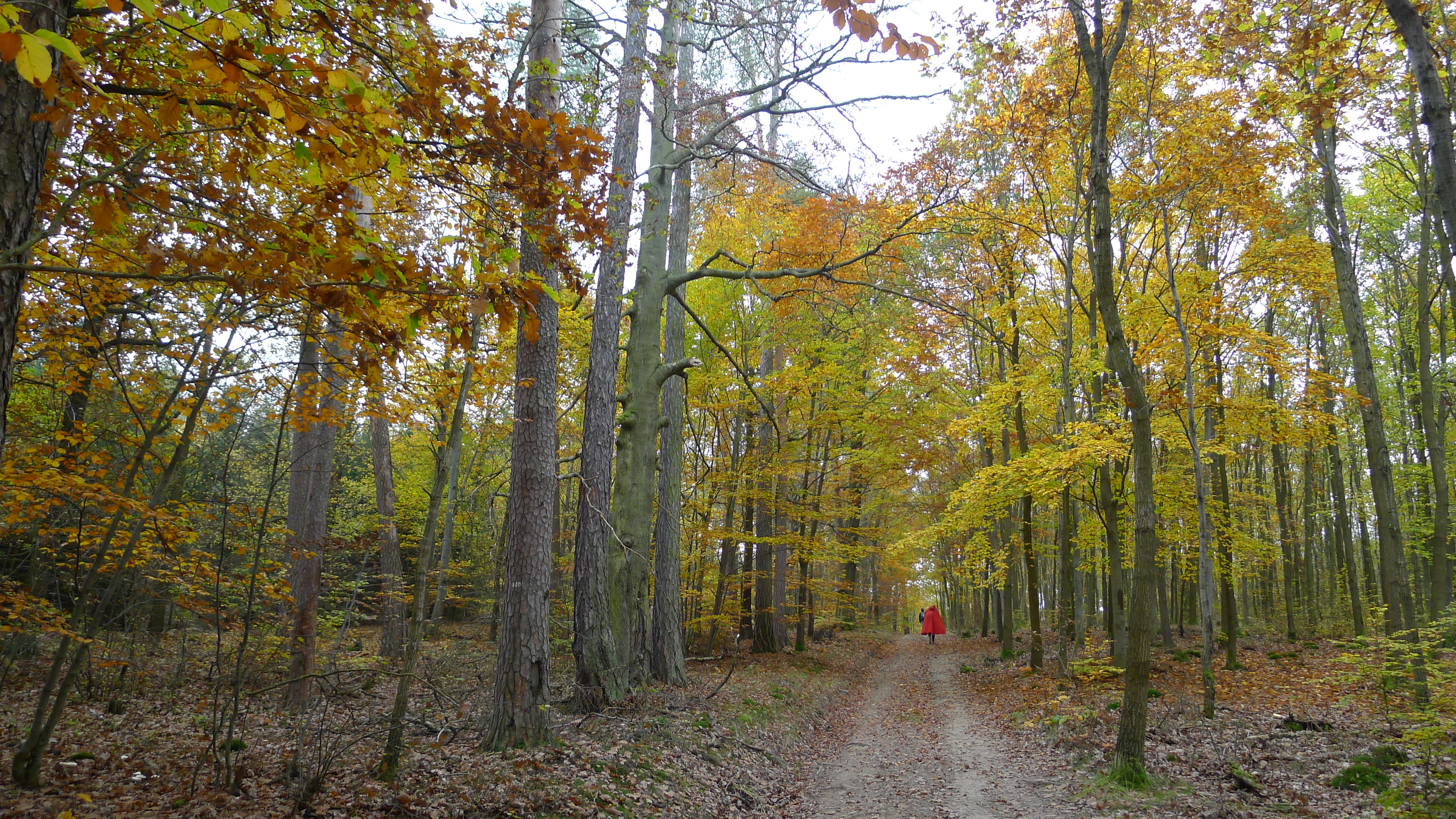 les u Žilinského vrchu