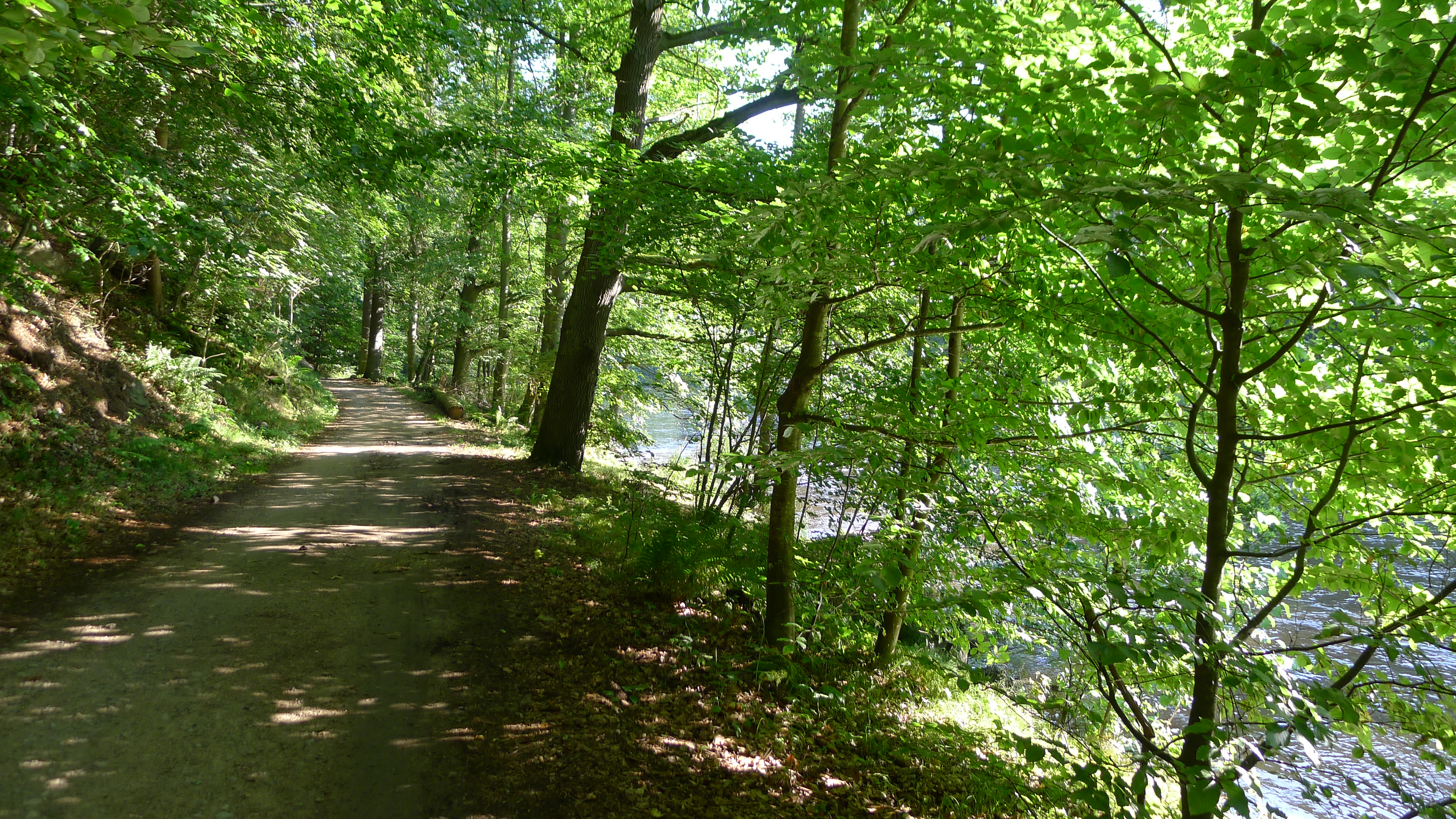mezi Loktem a Svatošskými skalami
