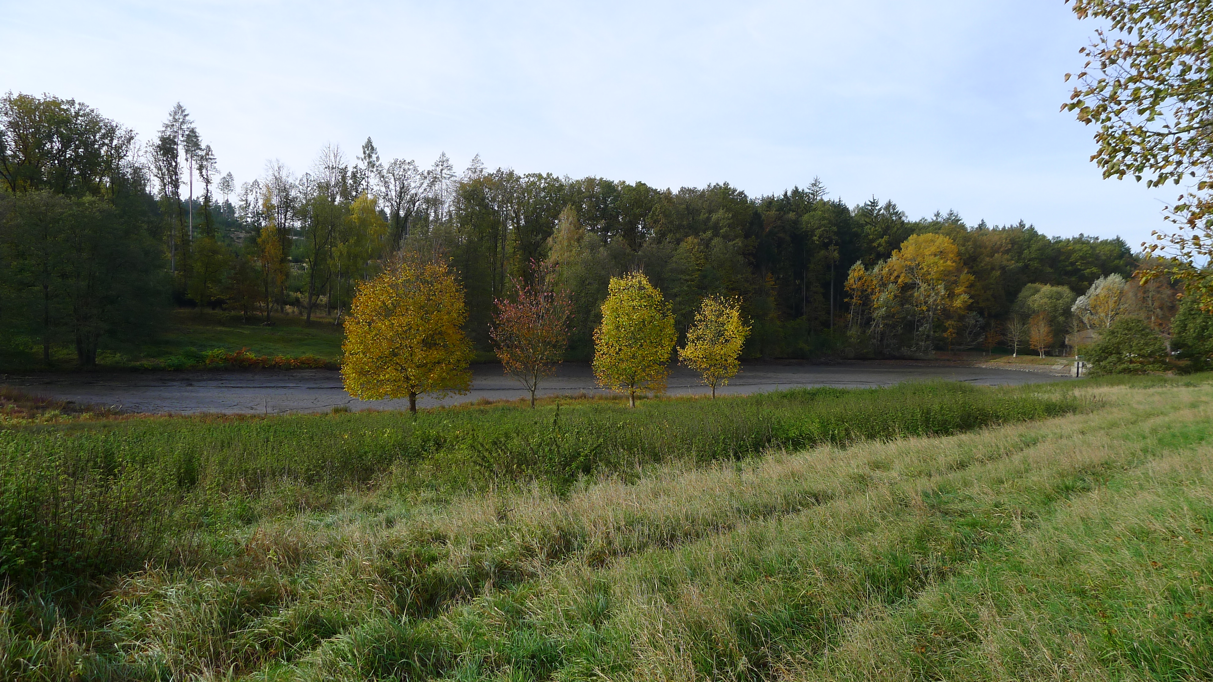 vypuštěný Jírovec