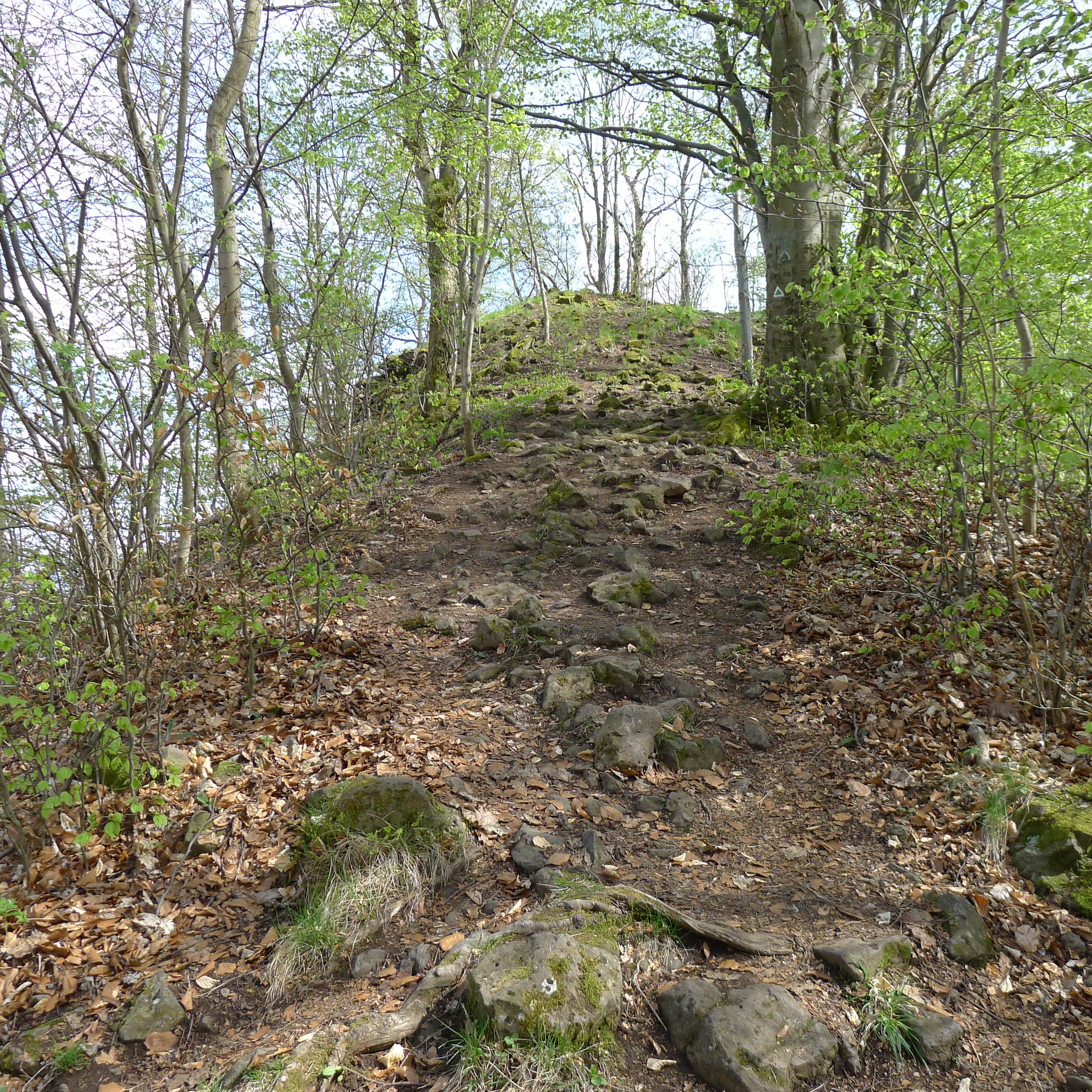 cesta k Popovskému kříži