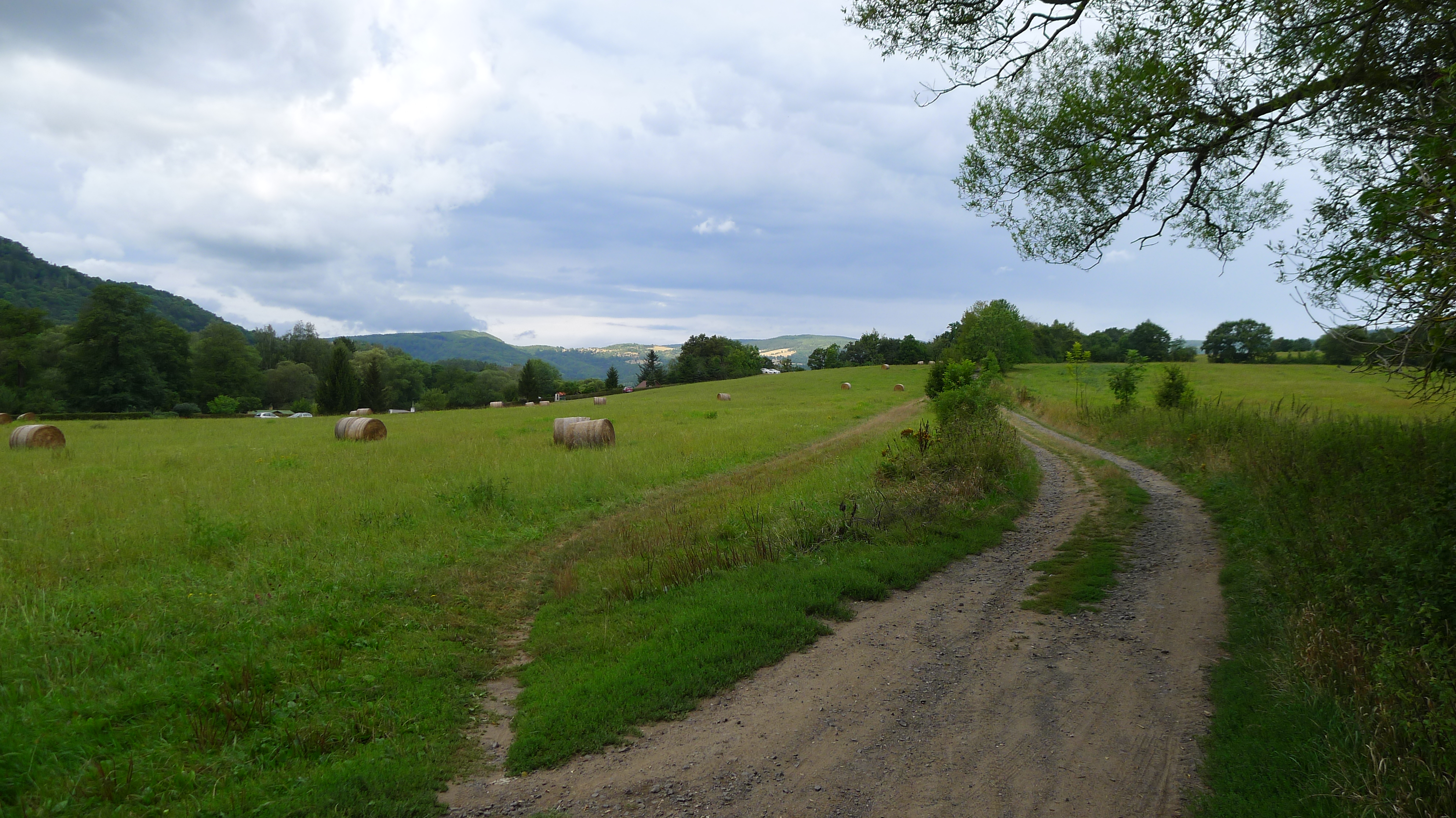 cyklostezka u Černýše