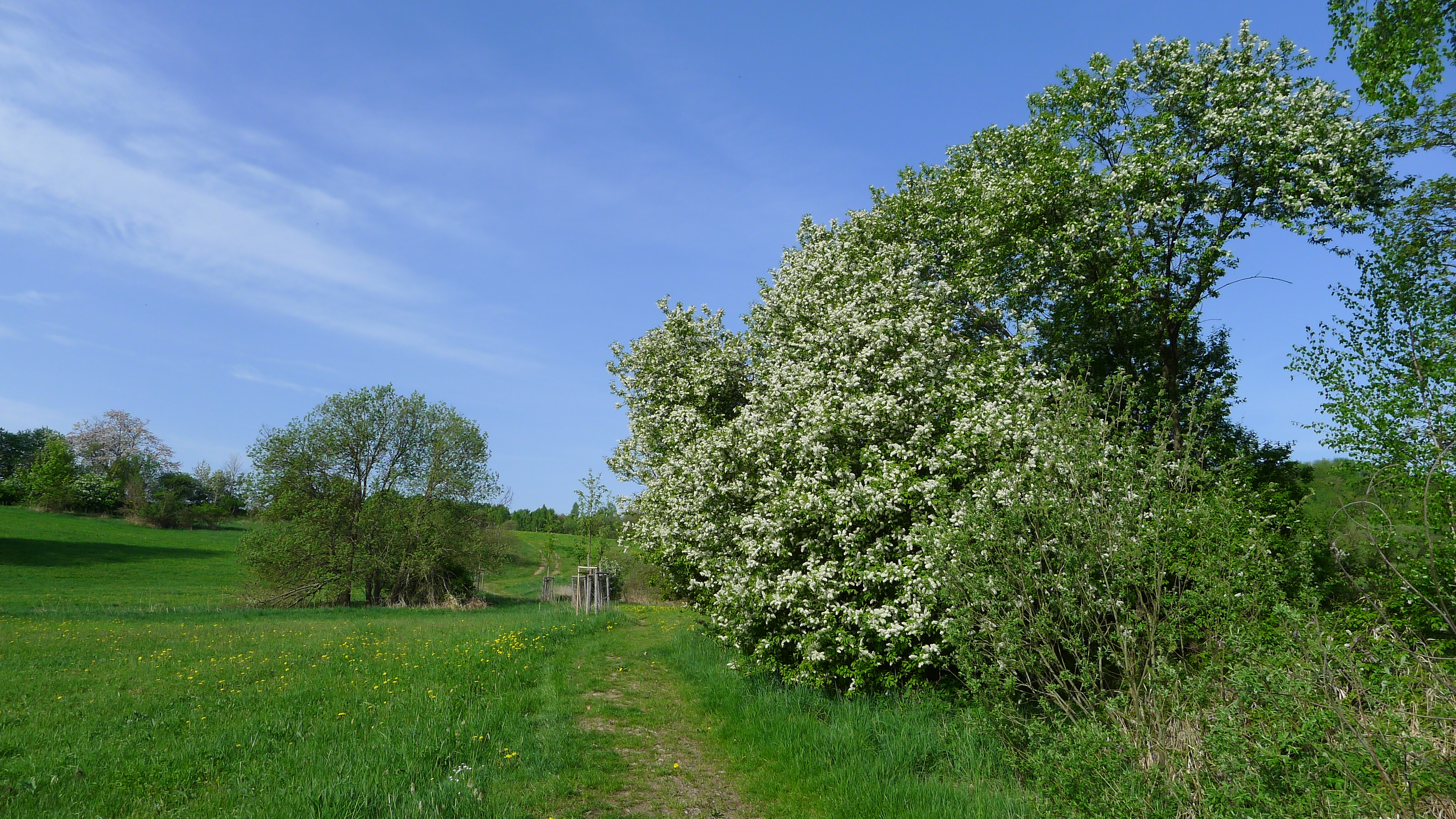 cesta z Květnova do Blatna