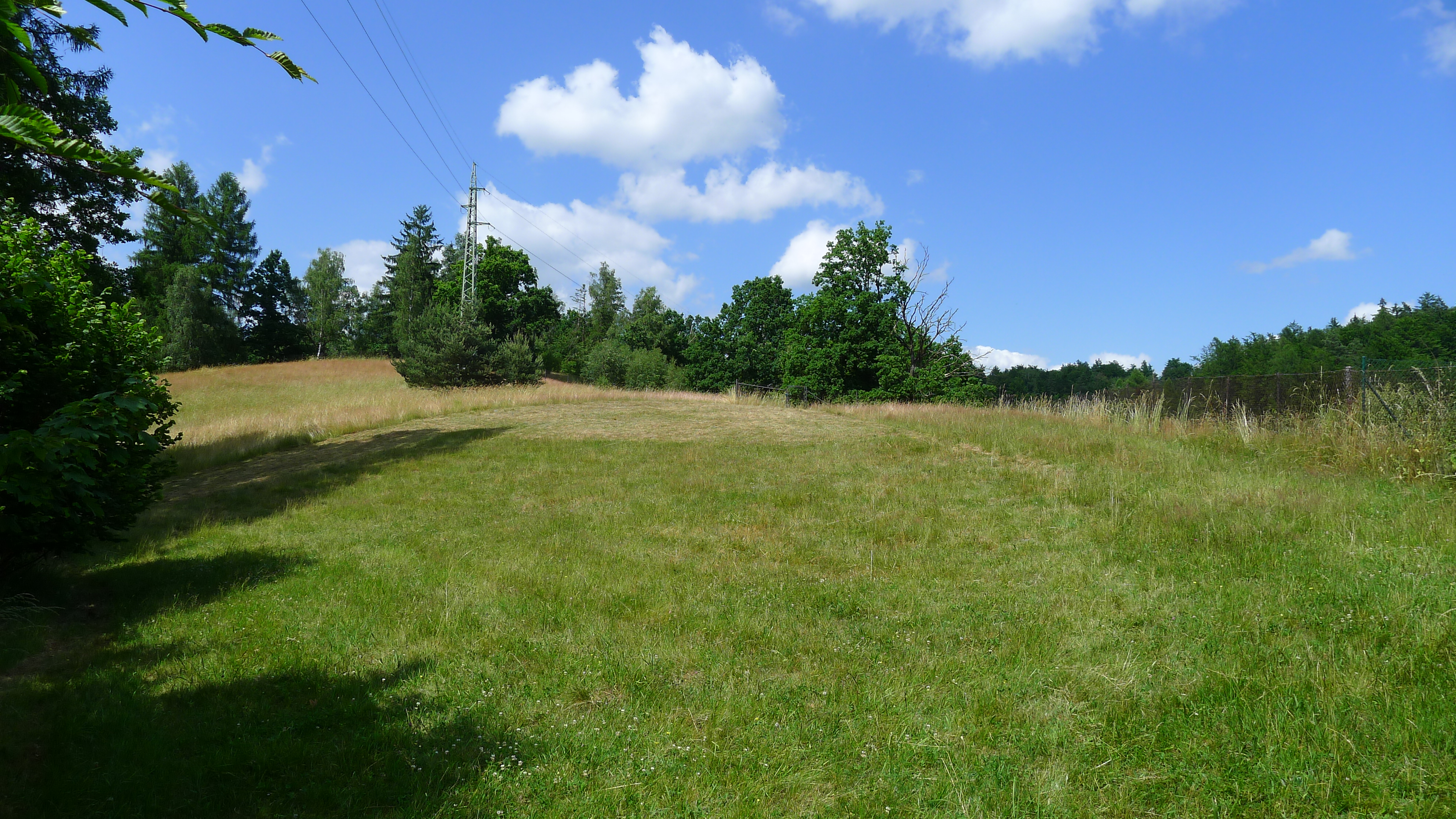 posekaná část louky