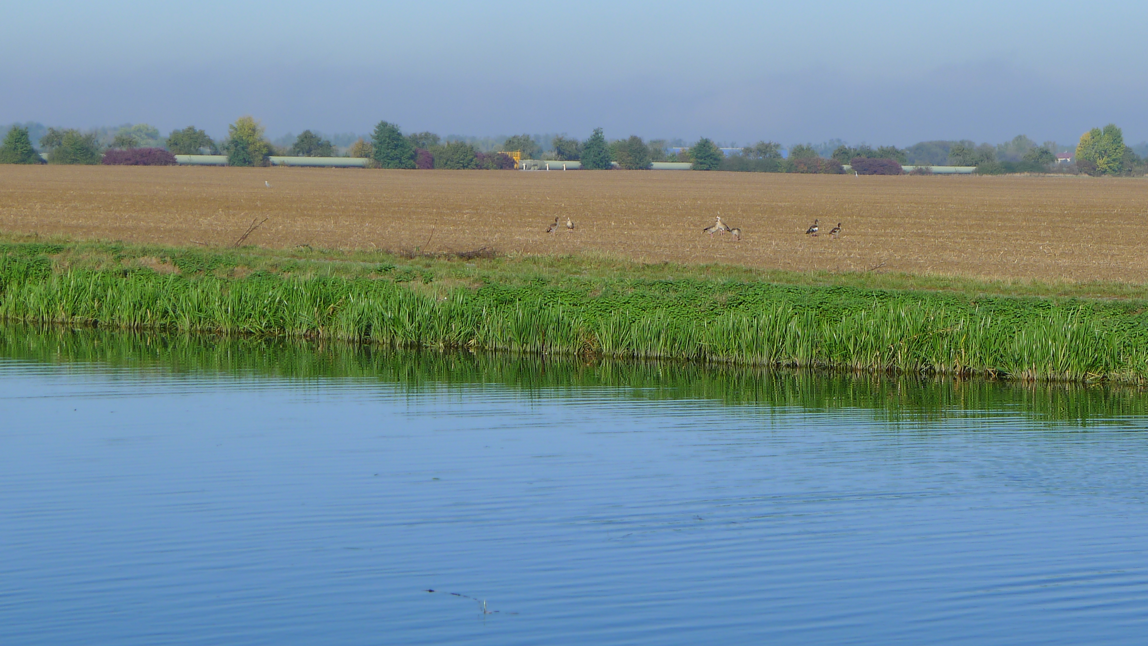Vraňansko-hořínský plavební kanál