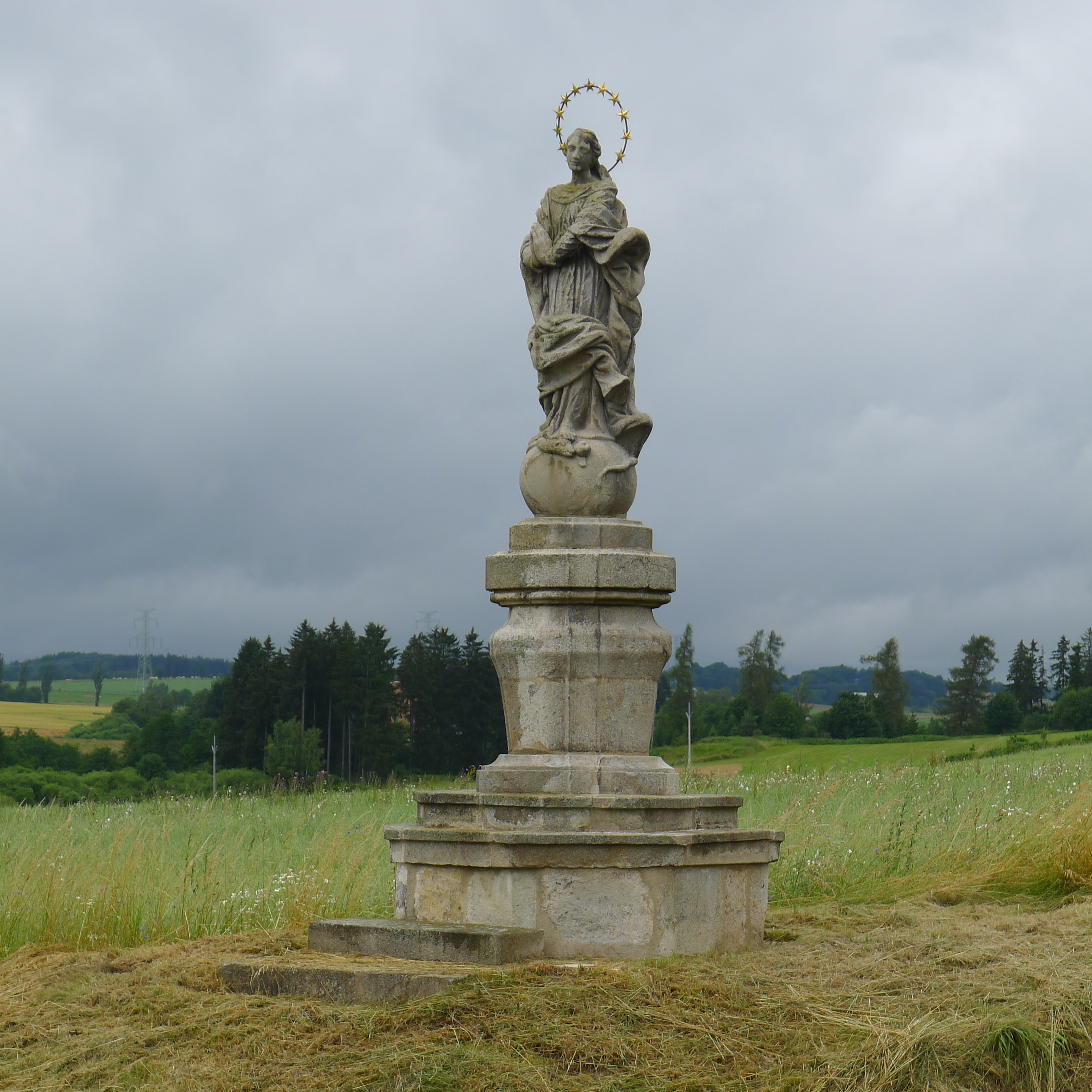 Panna Maria Immaculata