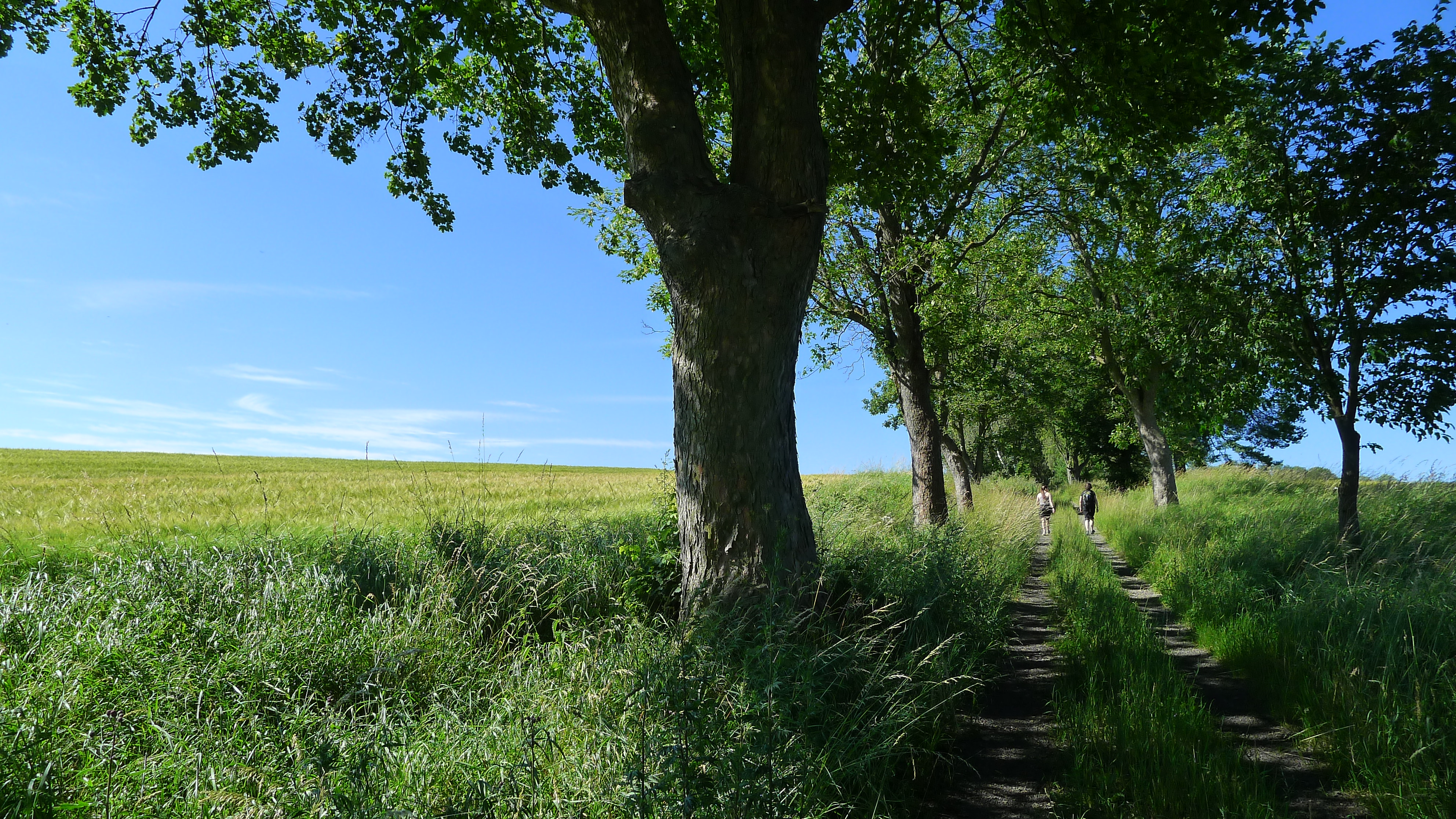 z Toužimi k bývalé Lhotě