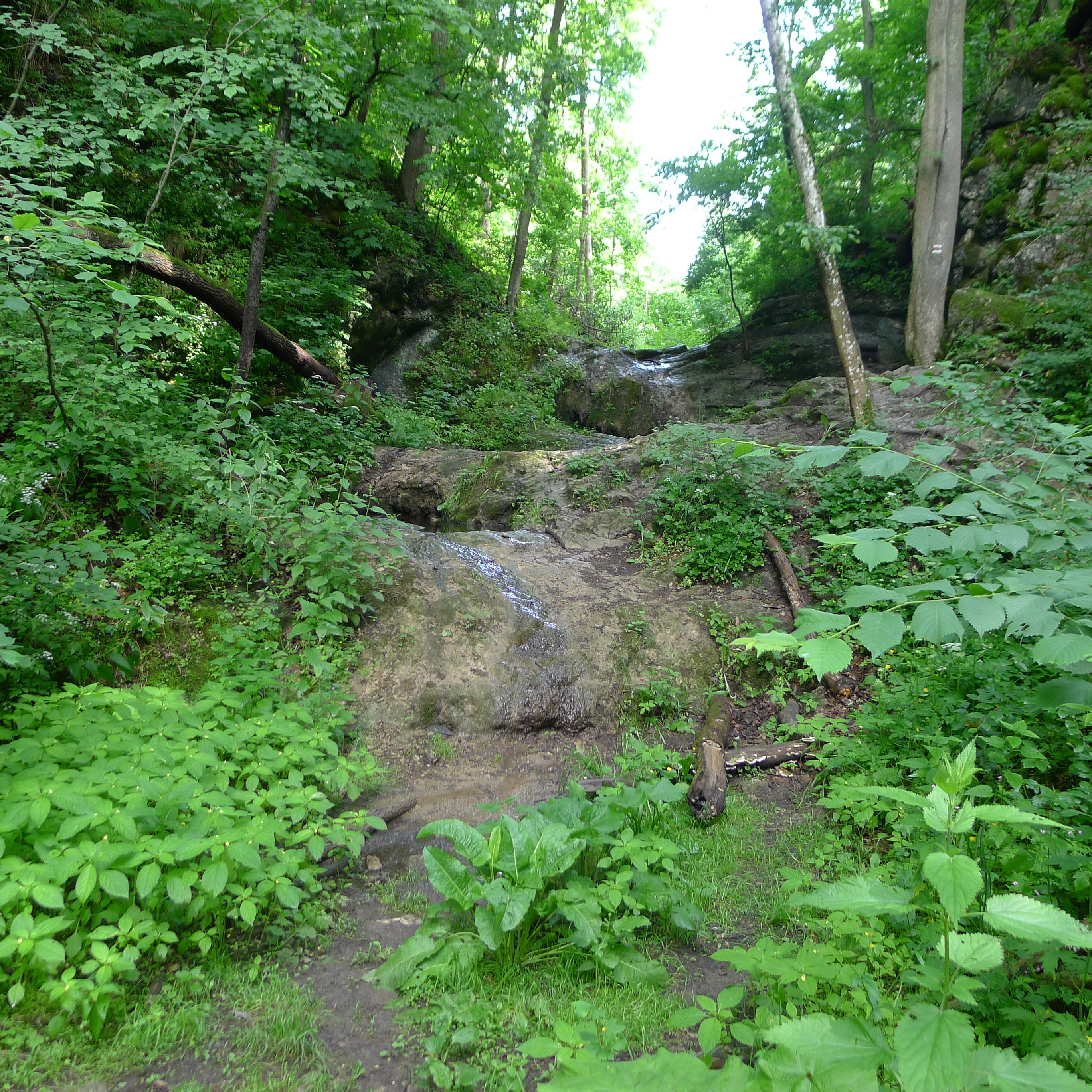 Bubovické vodopády