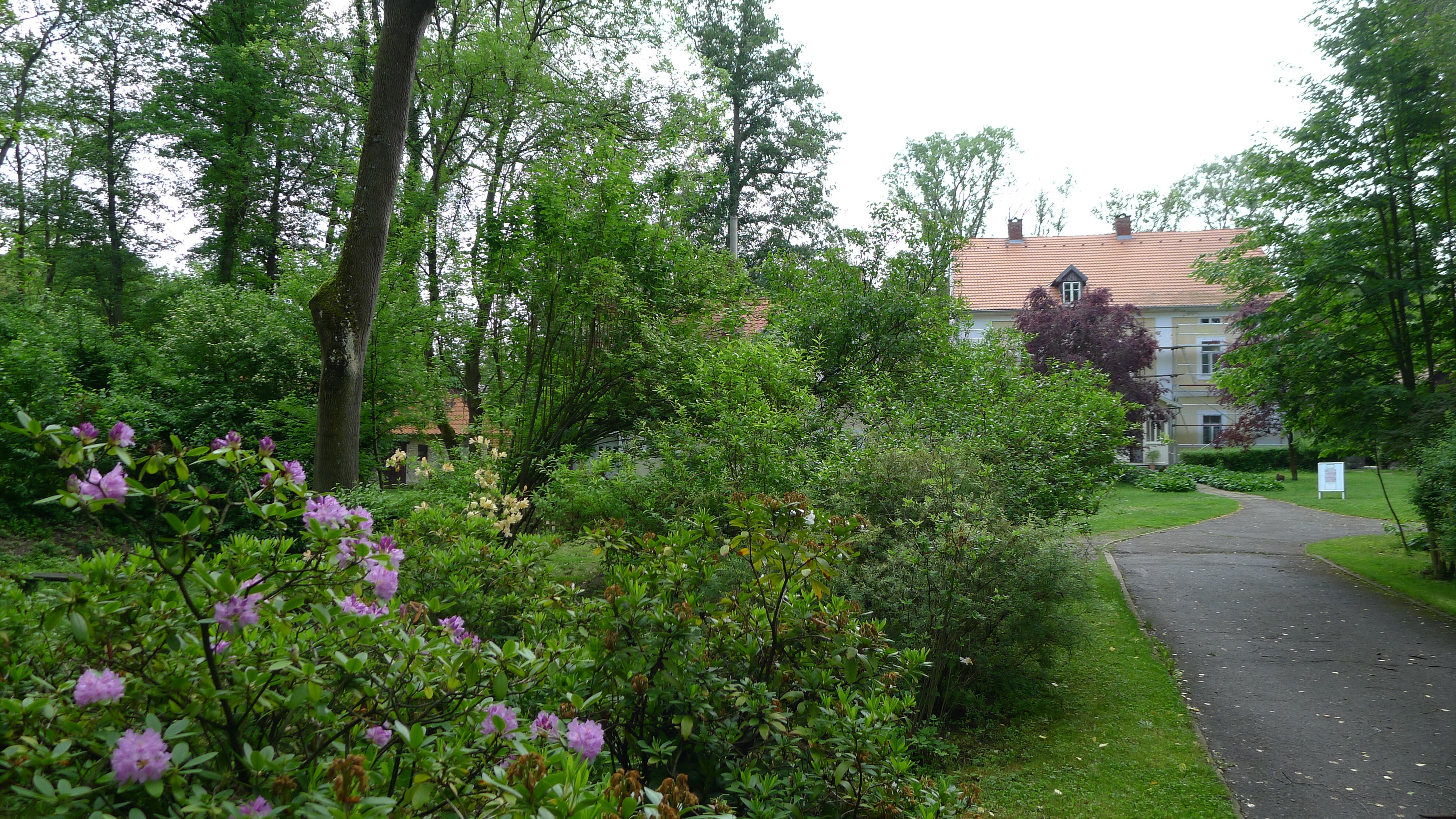 Strž - Památník Karla Čapka