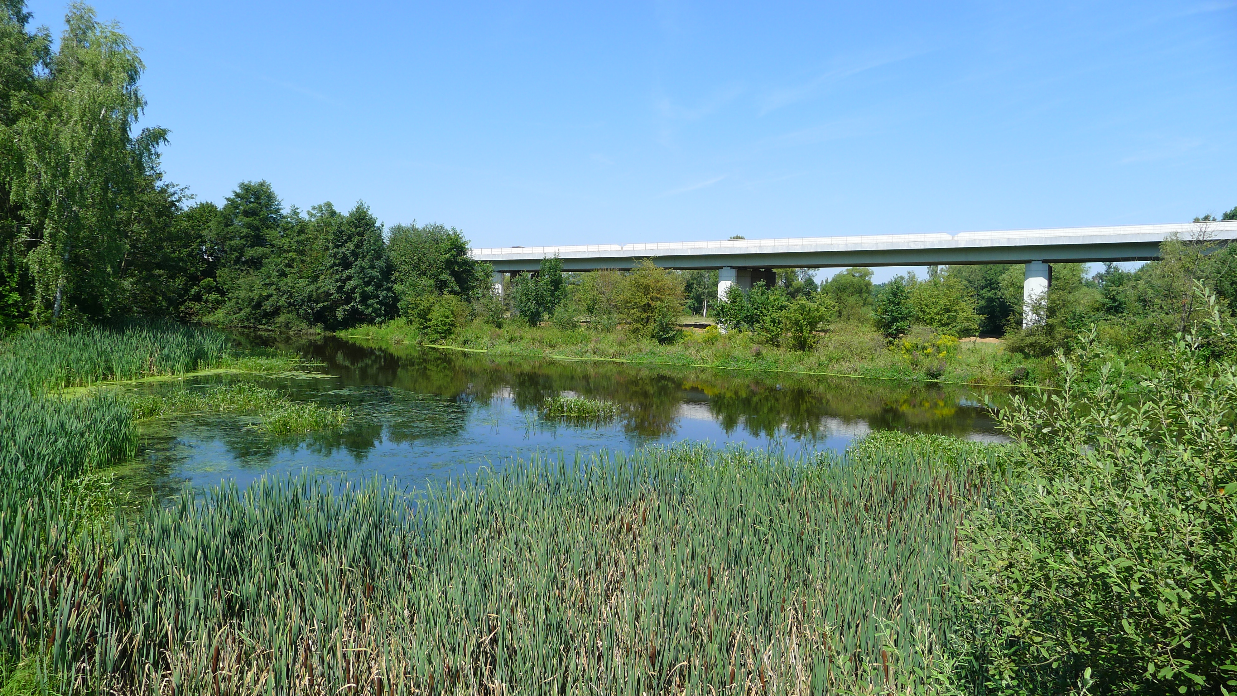 Ohře a dálnice D6 u Jindřichova