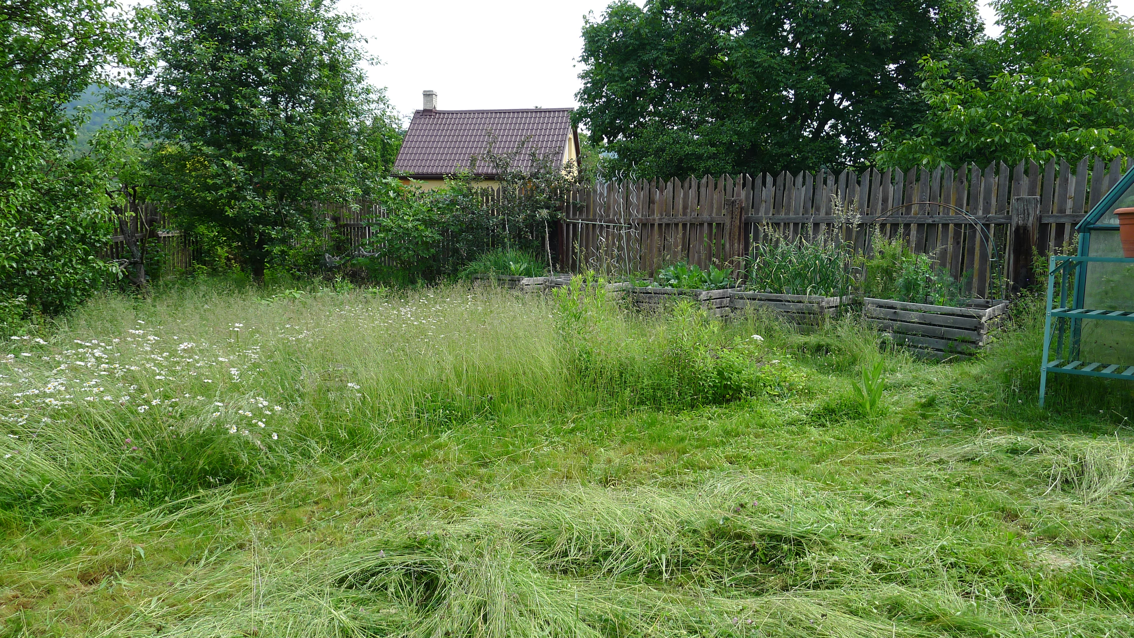 částečně pokosená louka