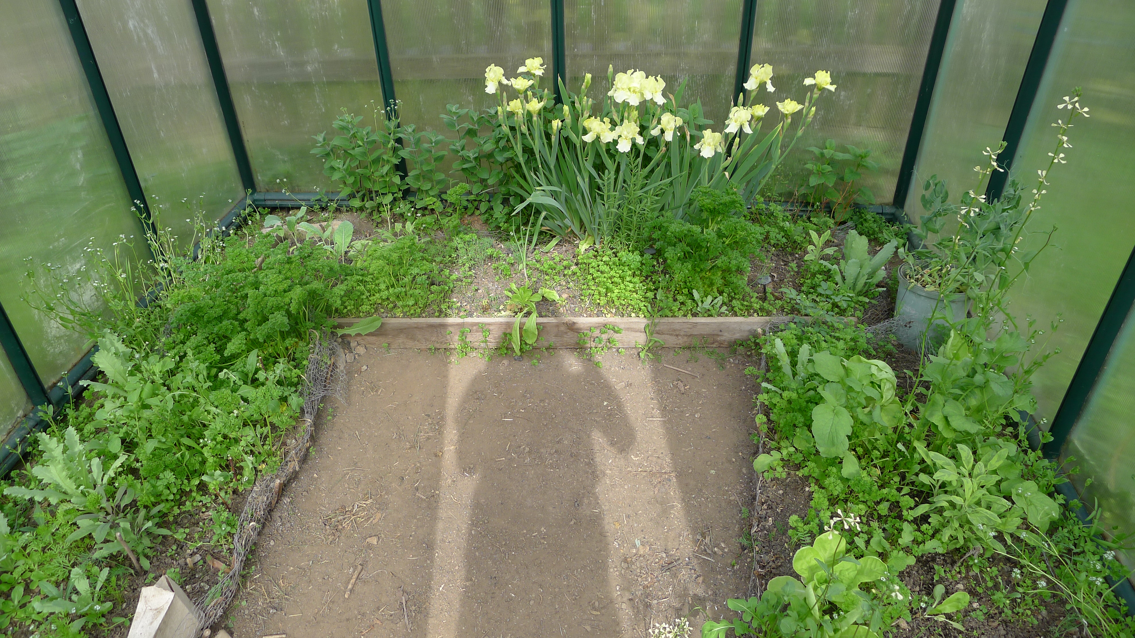 4.5.2023 džungle ve skleníku