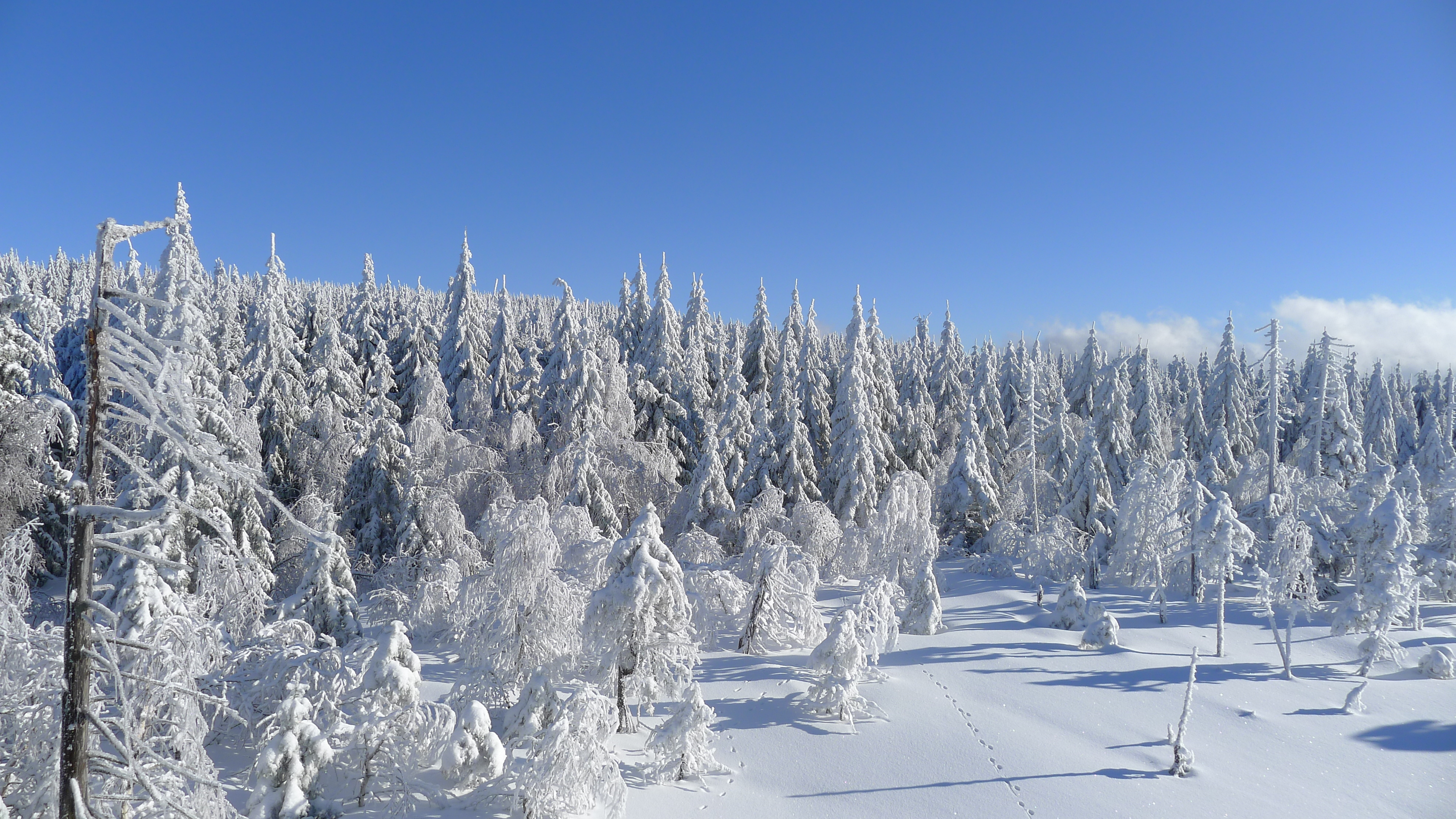 Jizerské hory - výhled z rozhledny Na Čihadle 20.1.2024