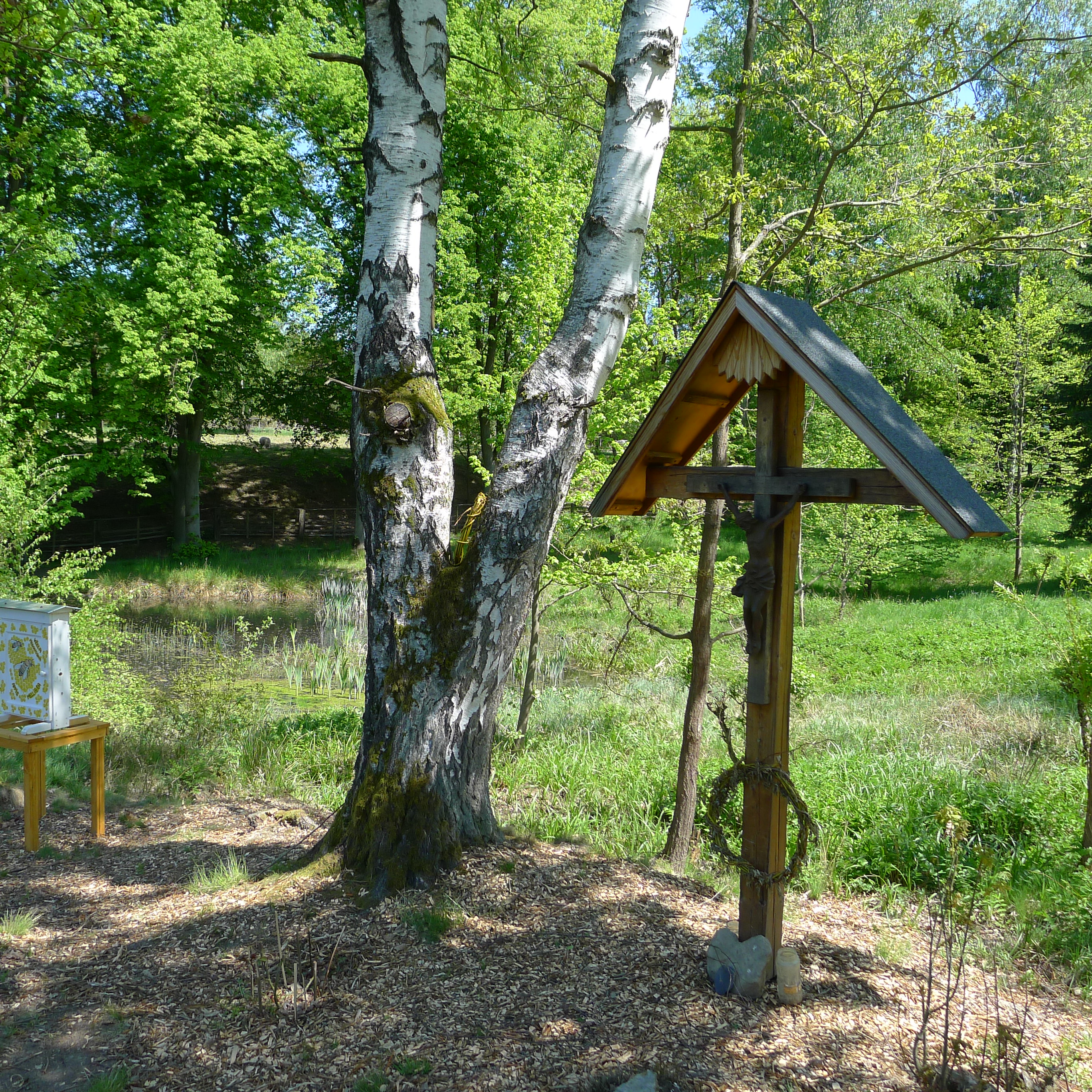 Kolová - luční porost s prameništěm