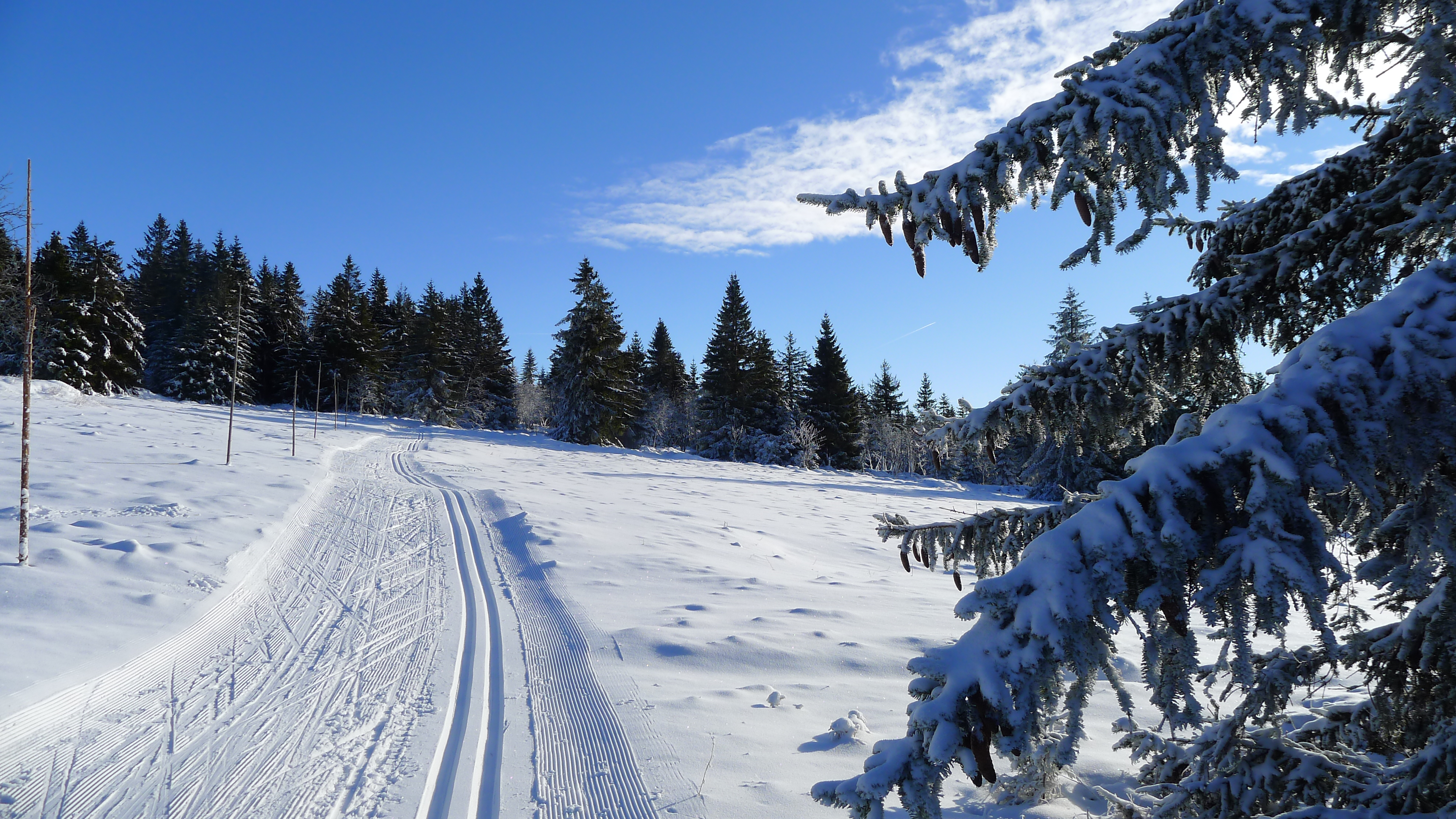lyžařská magistrála u Červené jámy