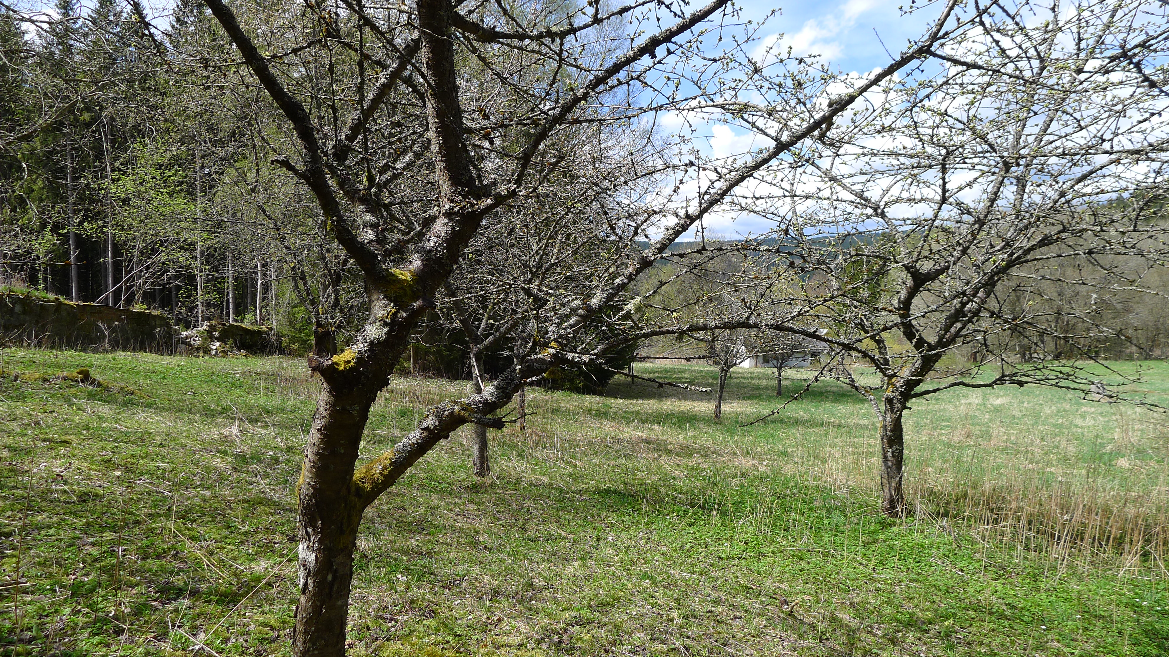 Mariánská - bývalý klášter