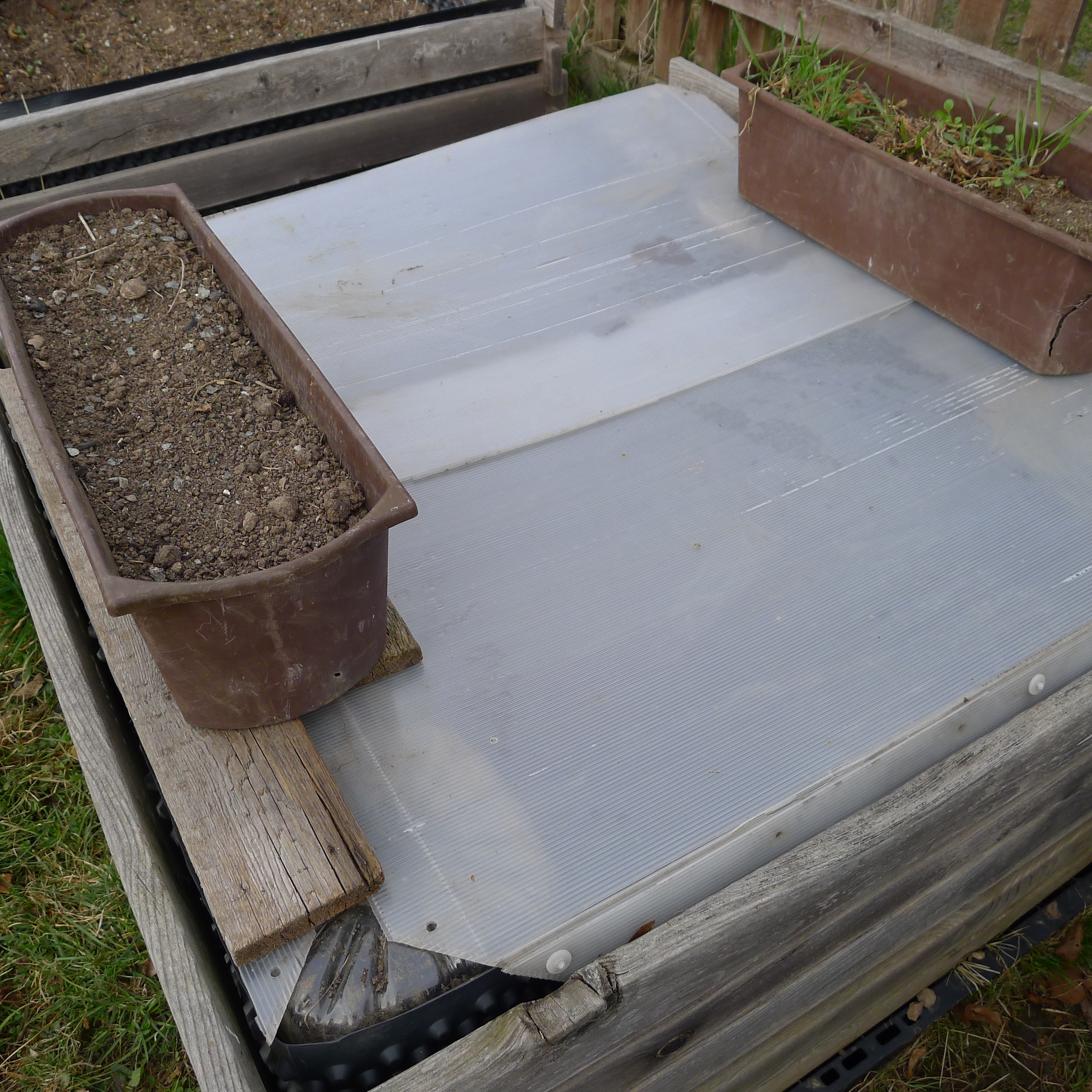 29.3.2025 improvizované pařeniště